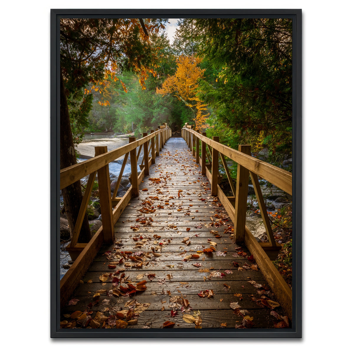 AUTO-MOCKUP WHITE | A Walk in the Woods | 1 Piece | Black Framed Canvas | group=3x4