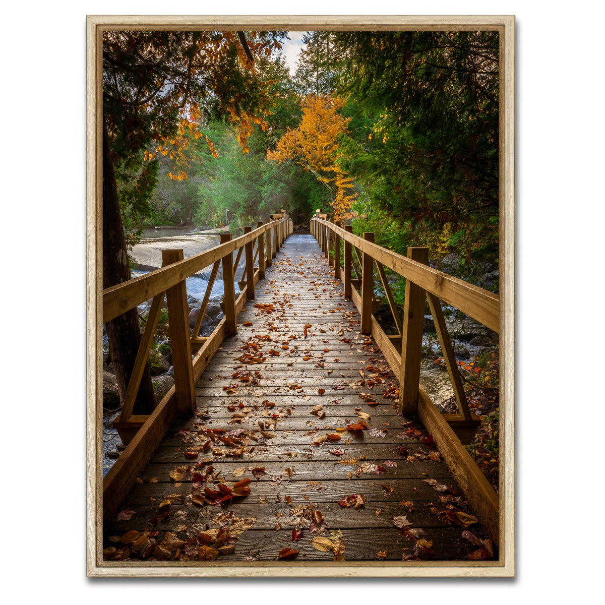 AUTO-MOCKUP WHITE | A Walk in the Woods | 1 Piece | Natural Framed Canvas | group=3x4