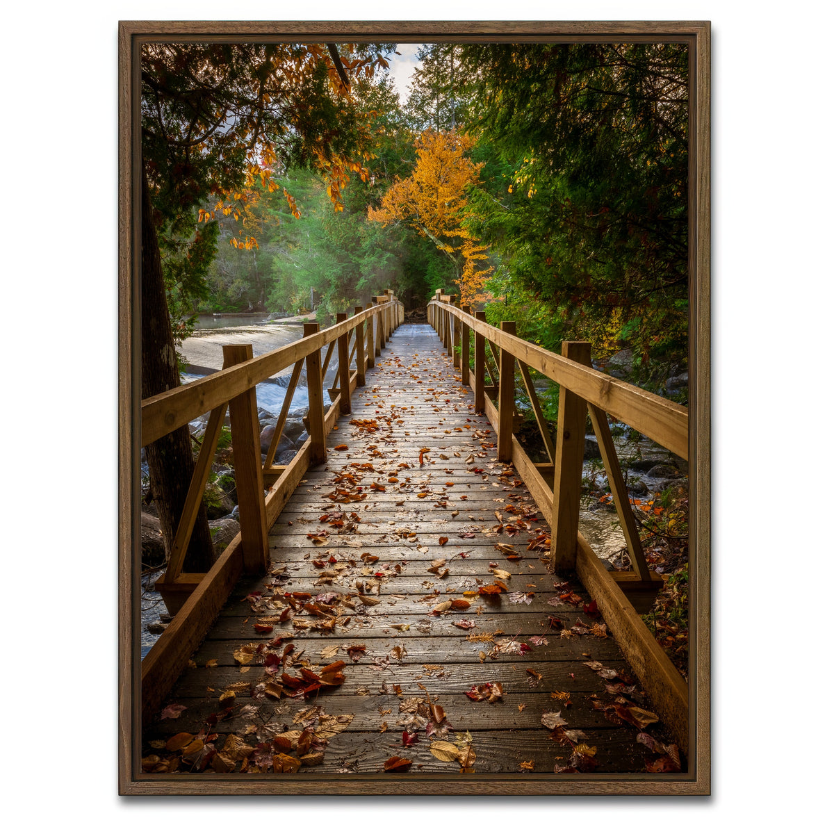 AUTO-MOCKUP WHITE | A Walk in the Woods | 1 Piece | Walnut Framed Canvas | group=3x4