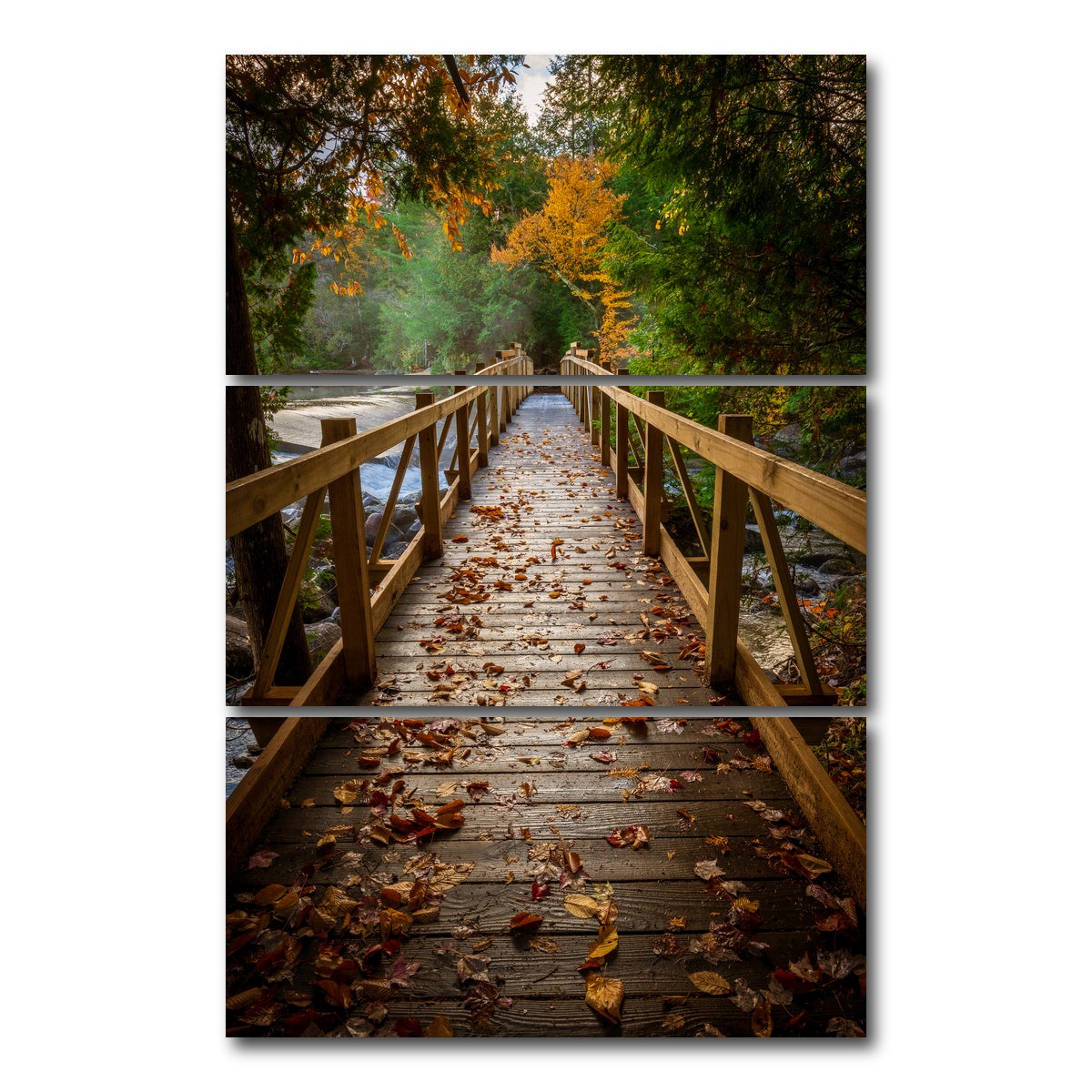 AUTO-MOCKUP WHITE | A Walk in the Woods | 3 Piece | Gallery Wrap Canvas | group=12x24_stacked