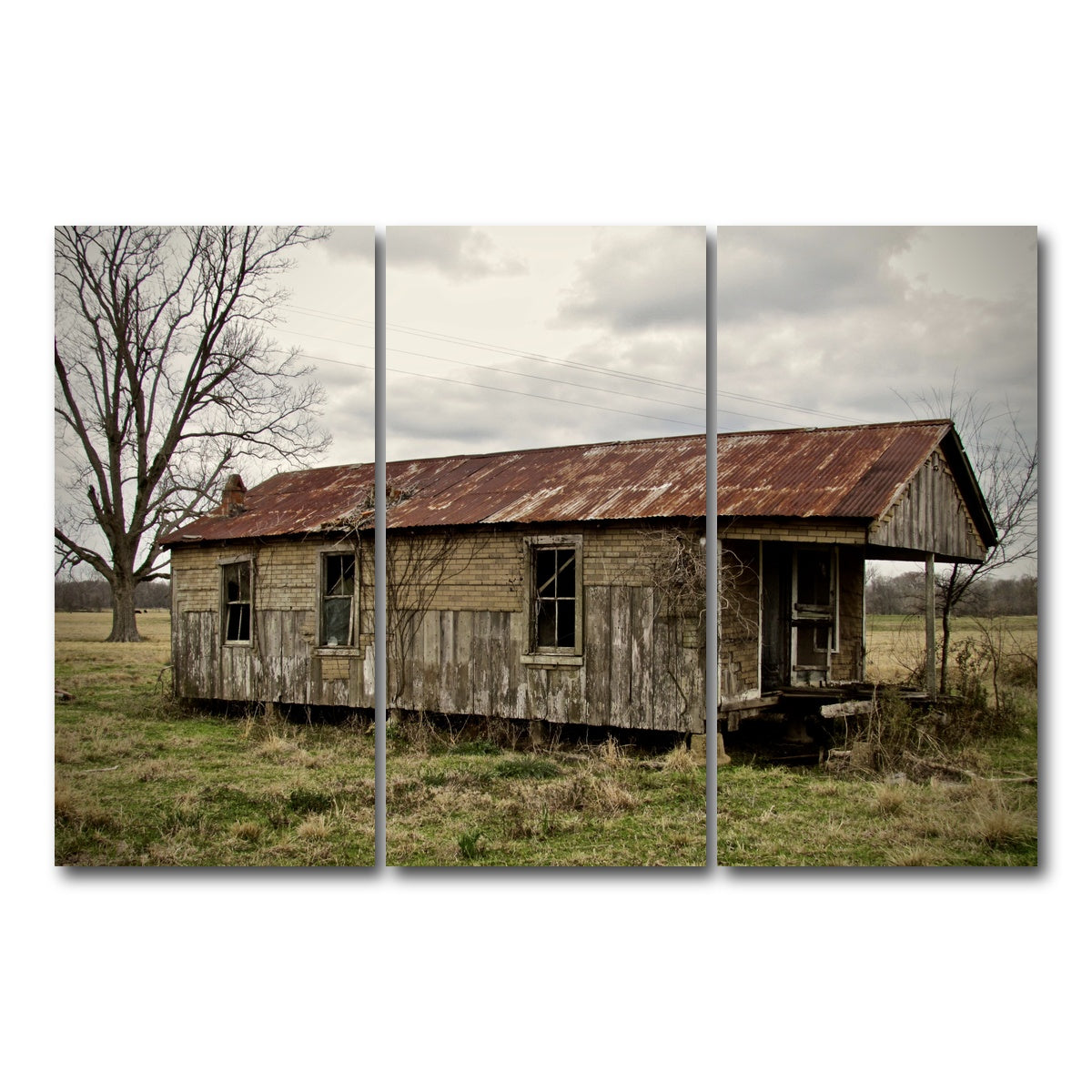 AUTO-MOCKUP WHITE | Abandoned Cabin Louisiana | 3 Piece | Gallery Wrap Canvas | group=12x24