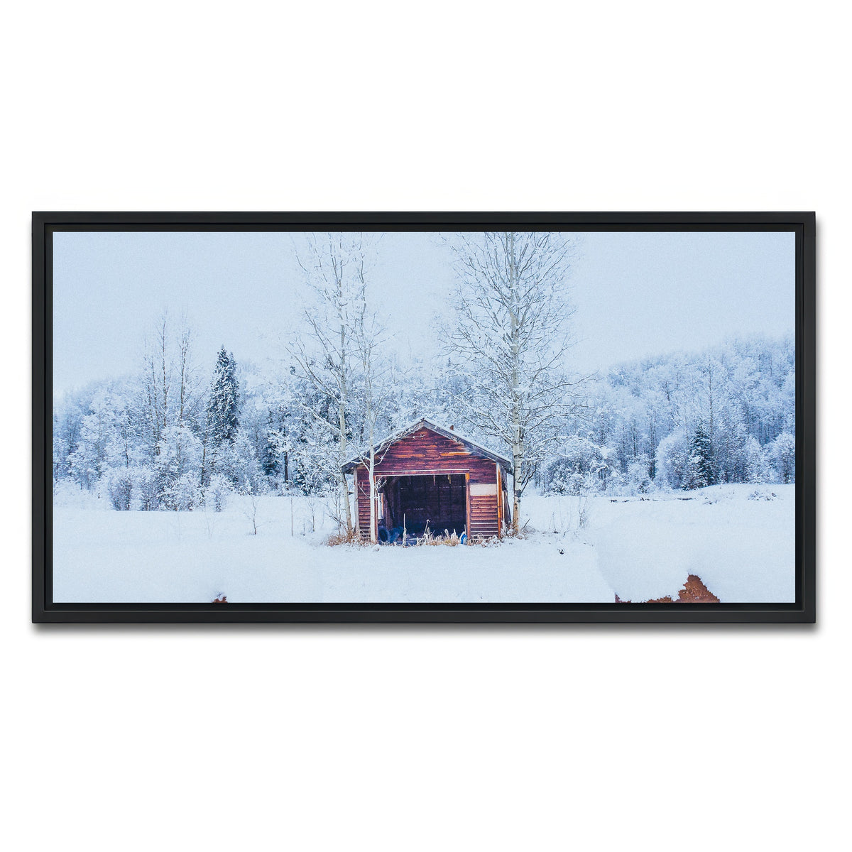 AUTO-MOCKUP WHITE | Abandoned Shed | 1 Piece | Black Framed Canvas | group=2x1