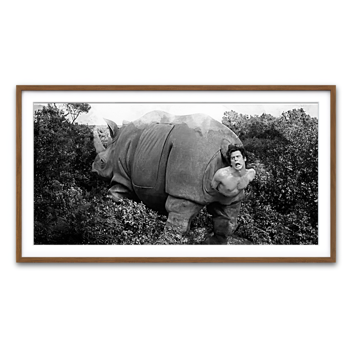 Framed Print 2x1 Walnut