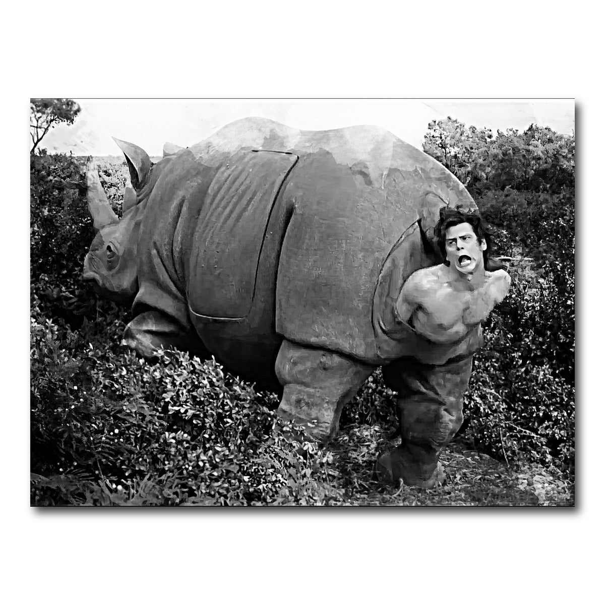 AUTO-MOCKUP WHITE | Ace Ventura Rhino Birth - Grayscale | 1 Piece | Gallery Wrap Canvas | group=4x3