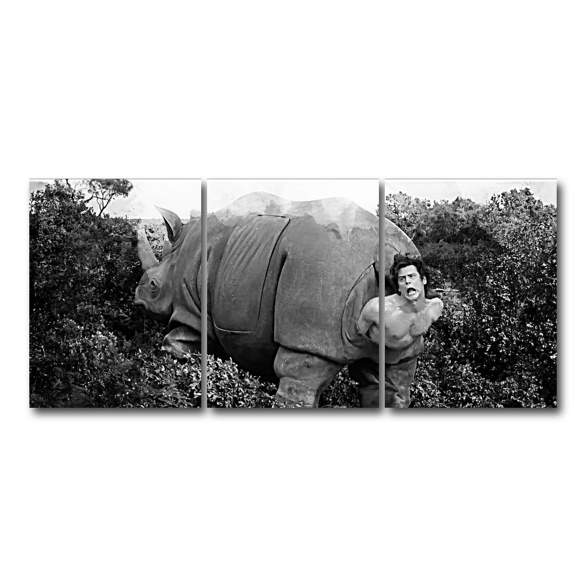 AUTO-MOCKUP WHITE | Ace Ventura Rhino Birth - Grayscale | 3 Piece | Gallery Wrap Canvas | group=18x24