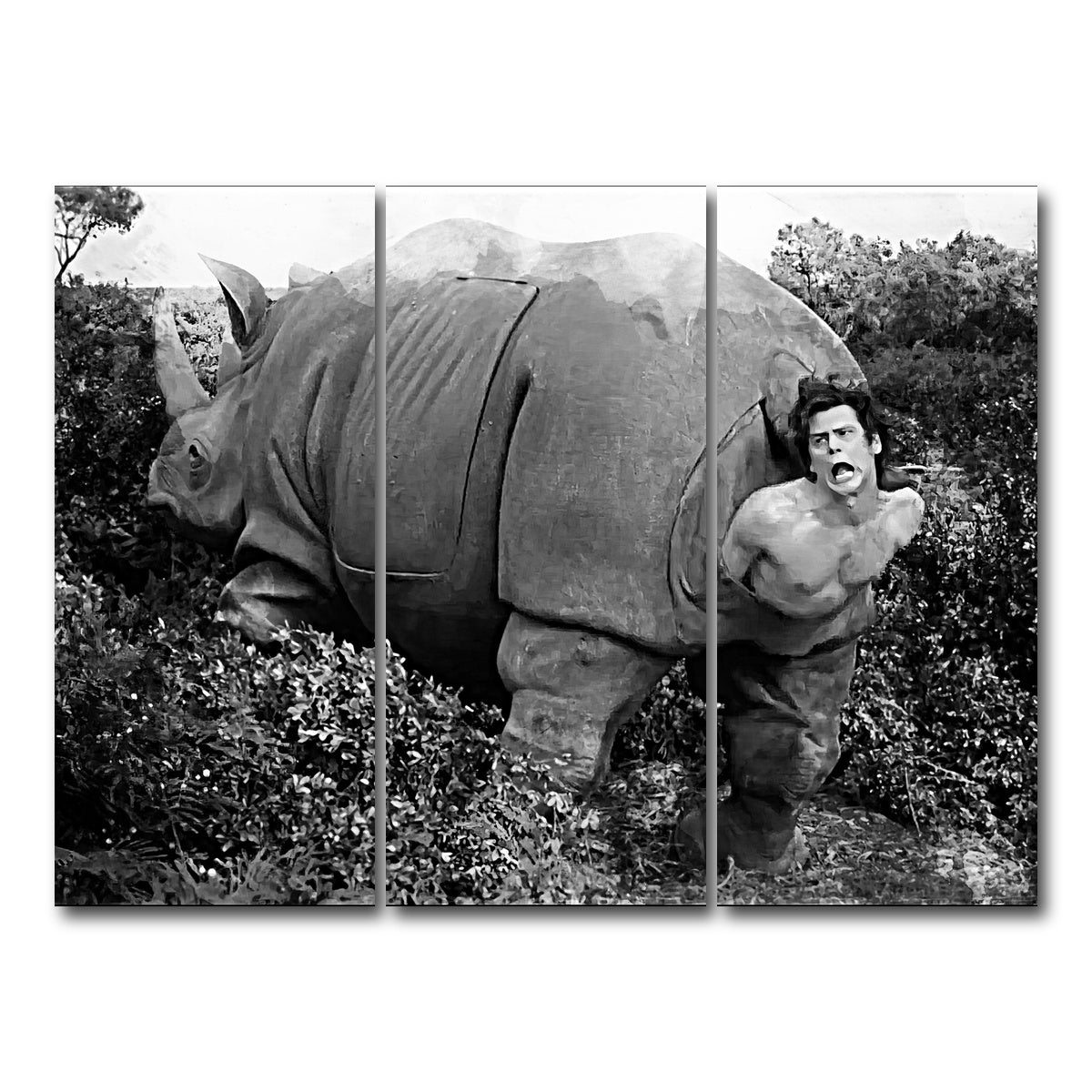 AUTO-MOCKUP WHITE | Ace Ventura Rhino Birth - Grayscale | 3 Piece | Gallery Wrap Canvas | group=8x18