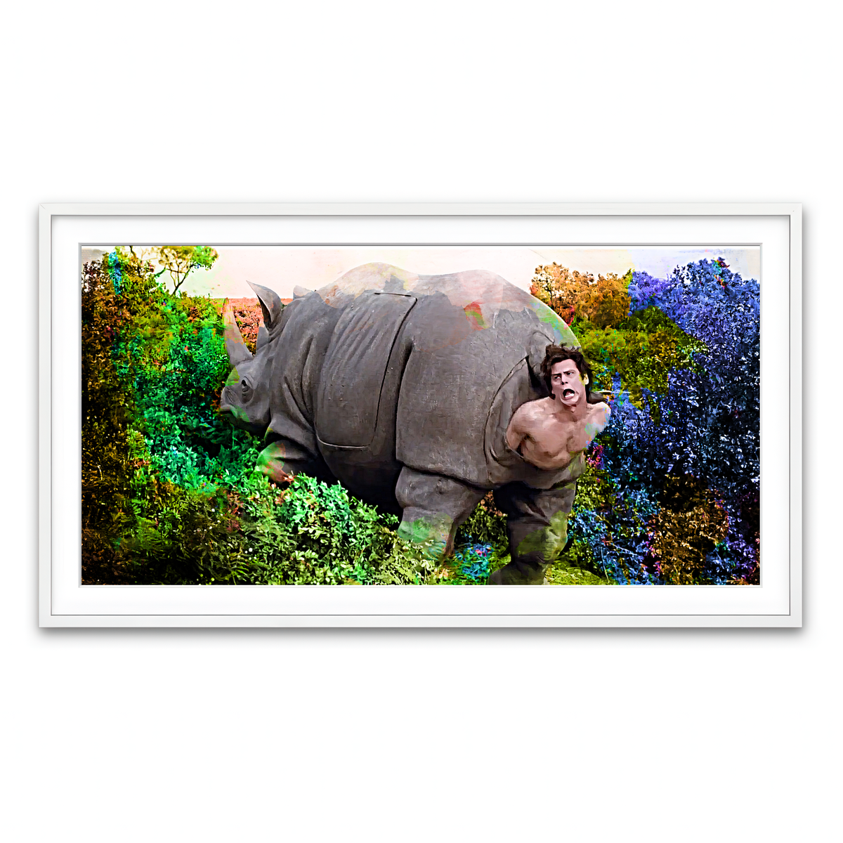 Framed Print 2x1 White