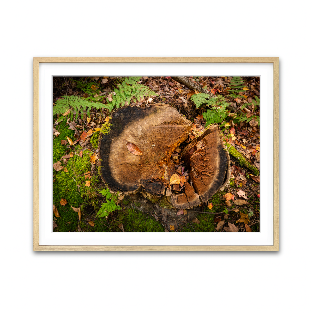 Framed Print 4x3 Natural