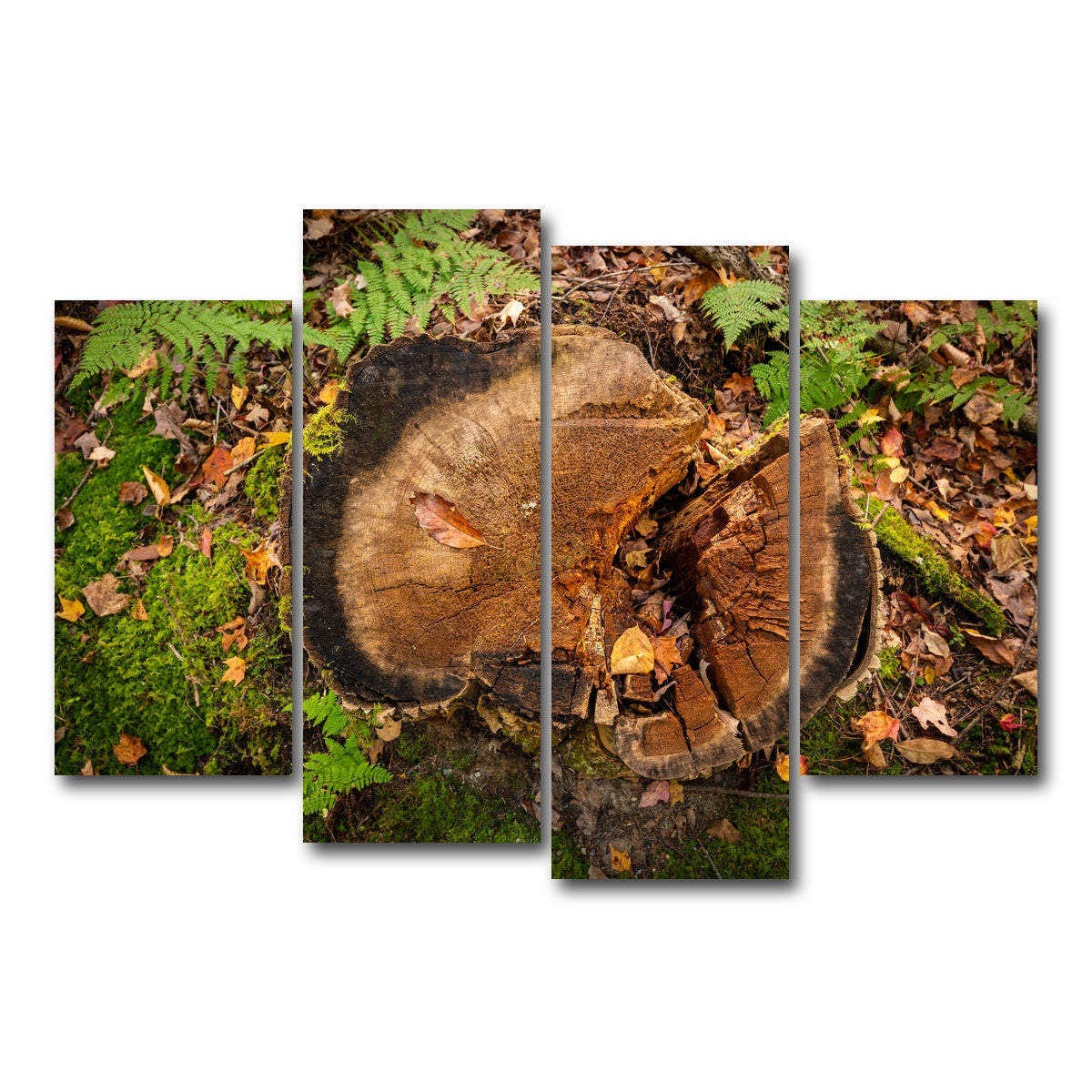 AUTO-MOCKUP WHITE | Adirondack Stump | 4 Piece | Gallery Wrap Canvas | group=4_short