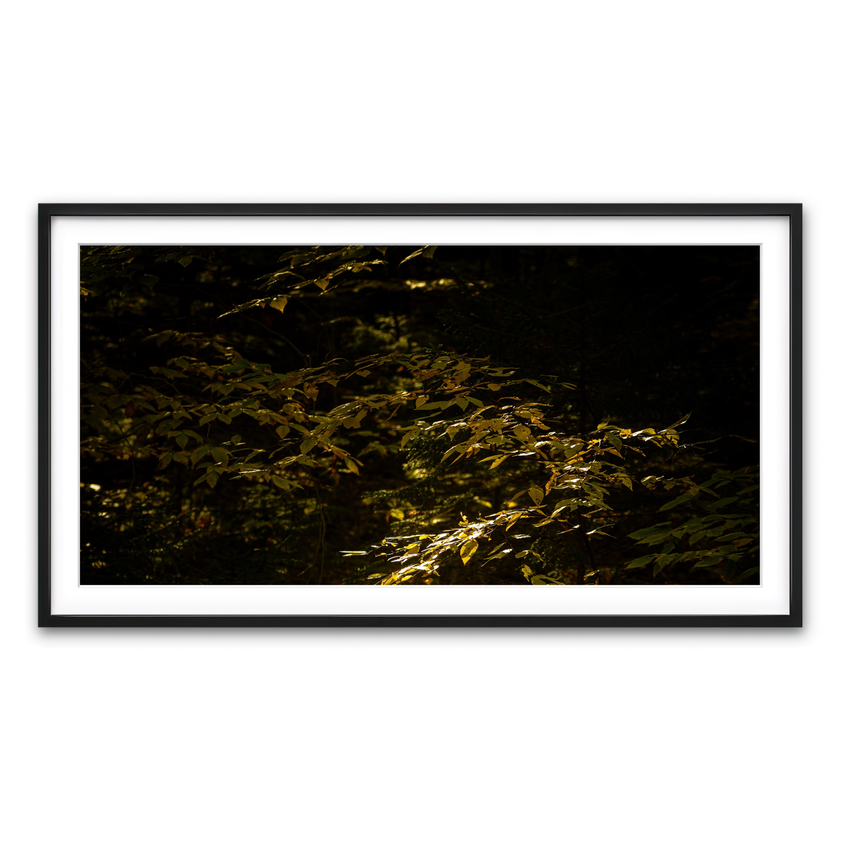 Framed Print 2x1 Black