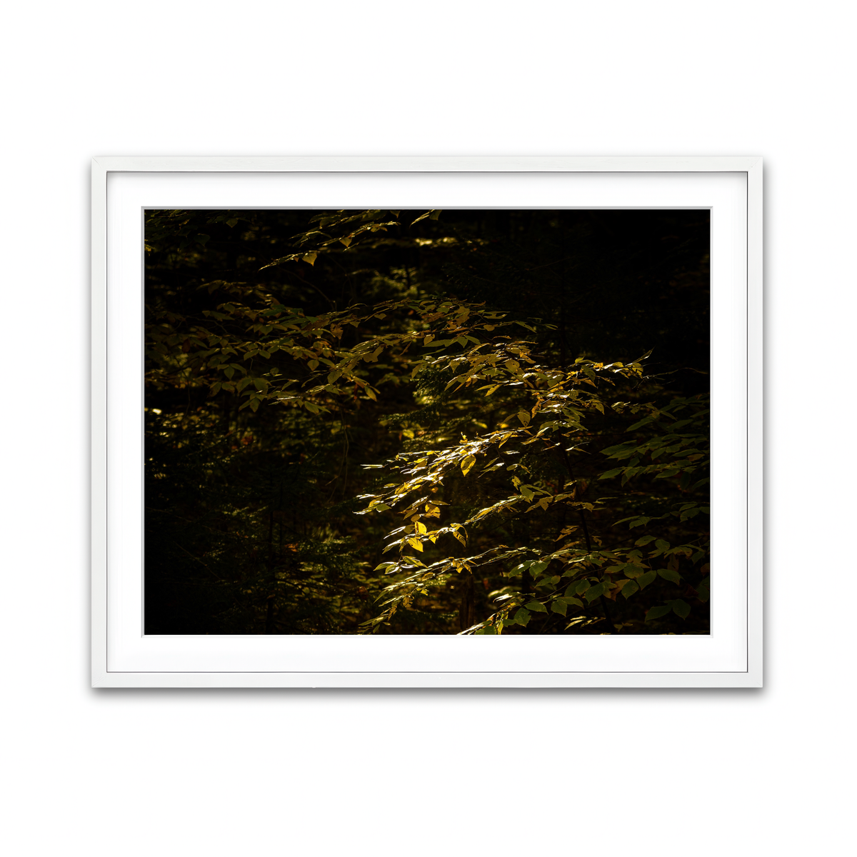 Framed Print 4x3 White