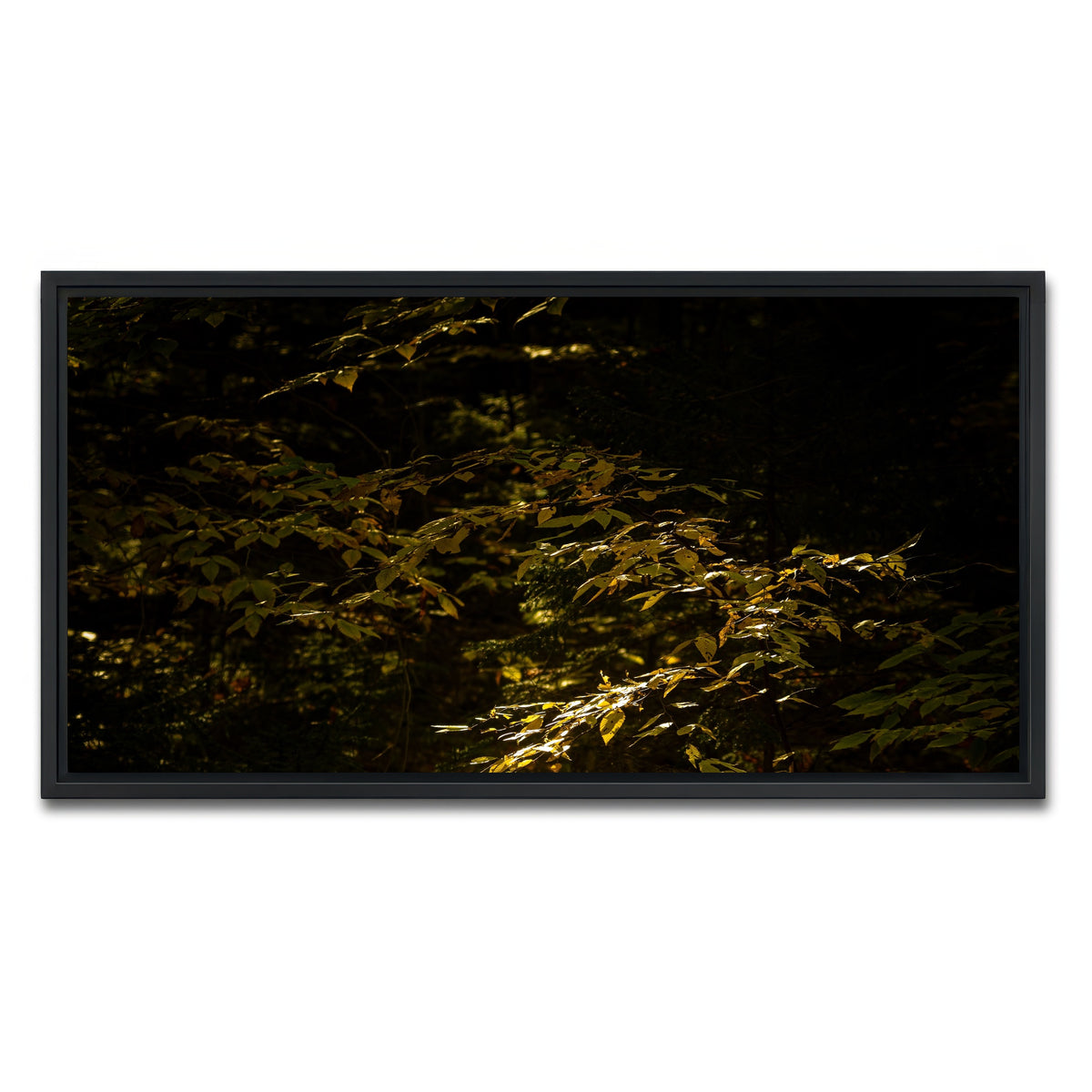 AUTO-MOCKUP WHITE | Adirondack leaves | 1 Piece | Black Framed Canvas | group=2x1