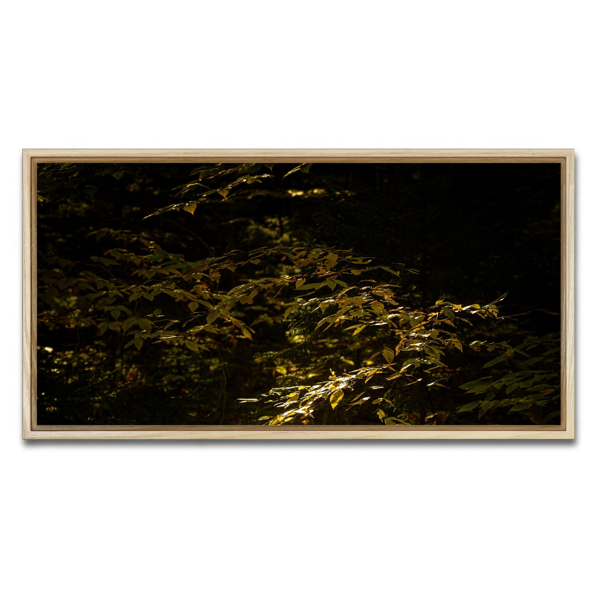 AUTO-MOCKUP WHITE | Adirondack leaves | 1 Piece | Natural Framed Canvas | group=2x1