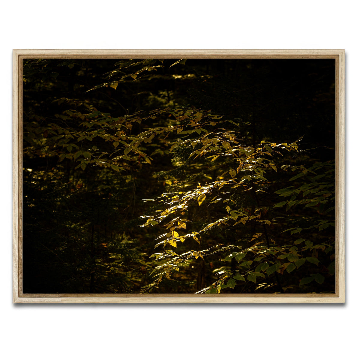 AUTO-MOCKUP WHITE | Adirondack leaves | 1 Piece | Natural Framed Canvas | group=4x3