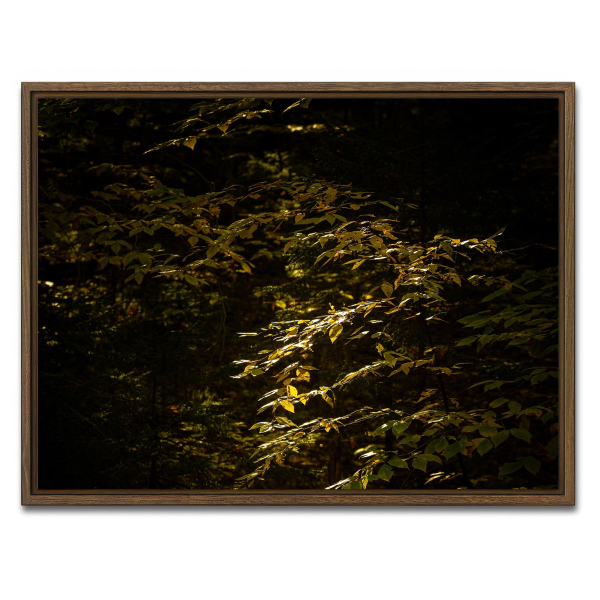 AUTO-MOCKUP WHITE | Adirondack leaves | 1 Piece | Walnut Framed Canvas | group=4x3