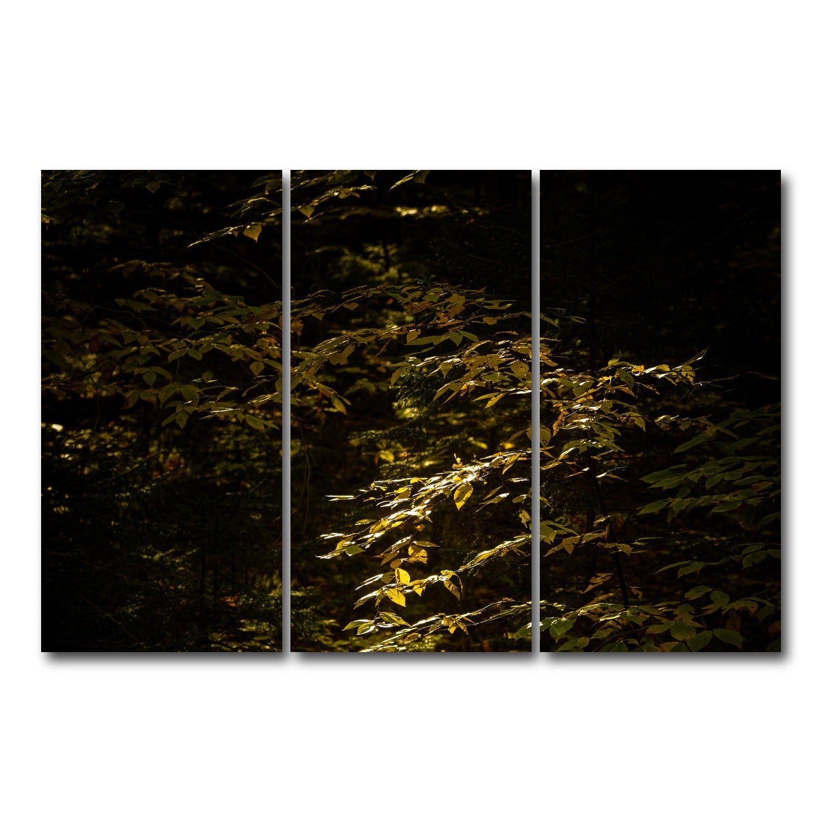 AUTO-MOCKUP WHITE | Adirondack leaves | 3 Piece | Gallery Wrap Canvas | group=12x24