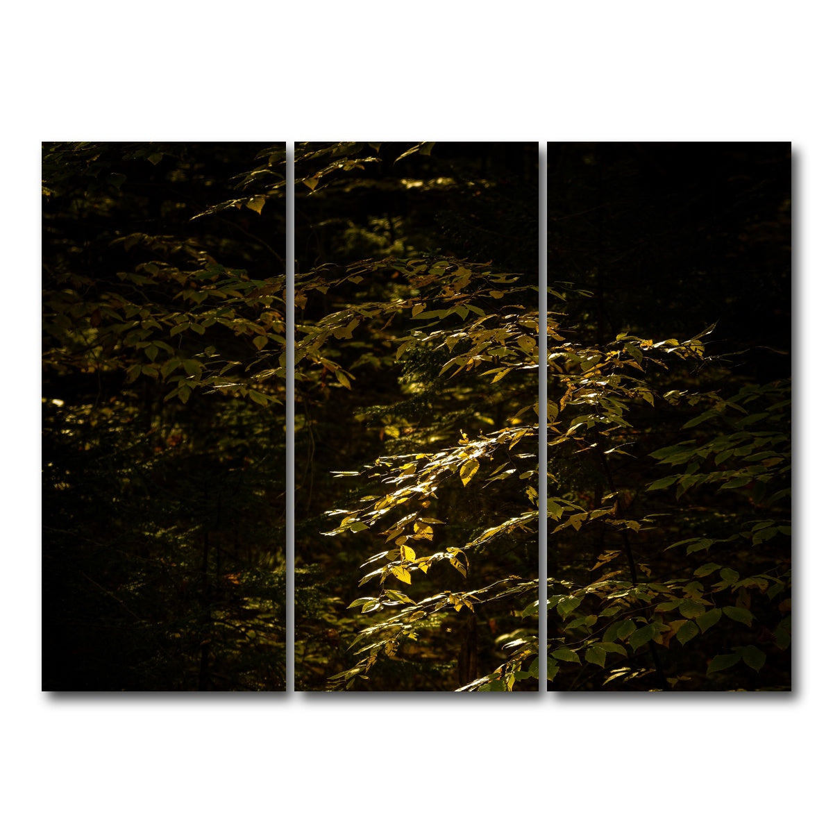 AUTO-MOCKUP WHITE | Adirondack leaves | 3 Piece | Gallery Wrap Canvas | group=8x18