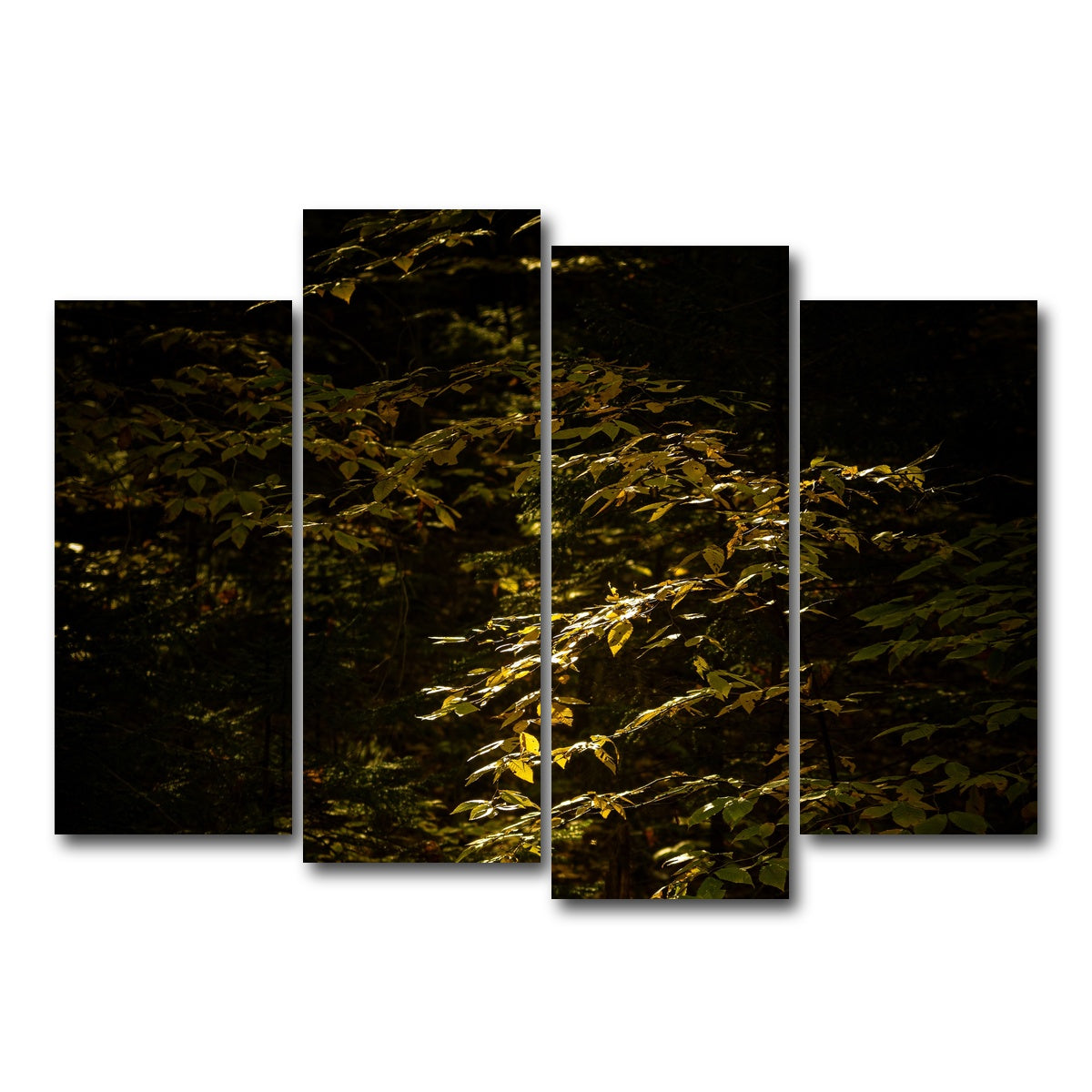AUTO-MOCKUP WHITE | Adirondack leaves | 4 Piece | Gallery Wrap Canvas | group=4_normal