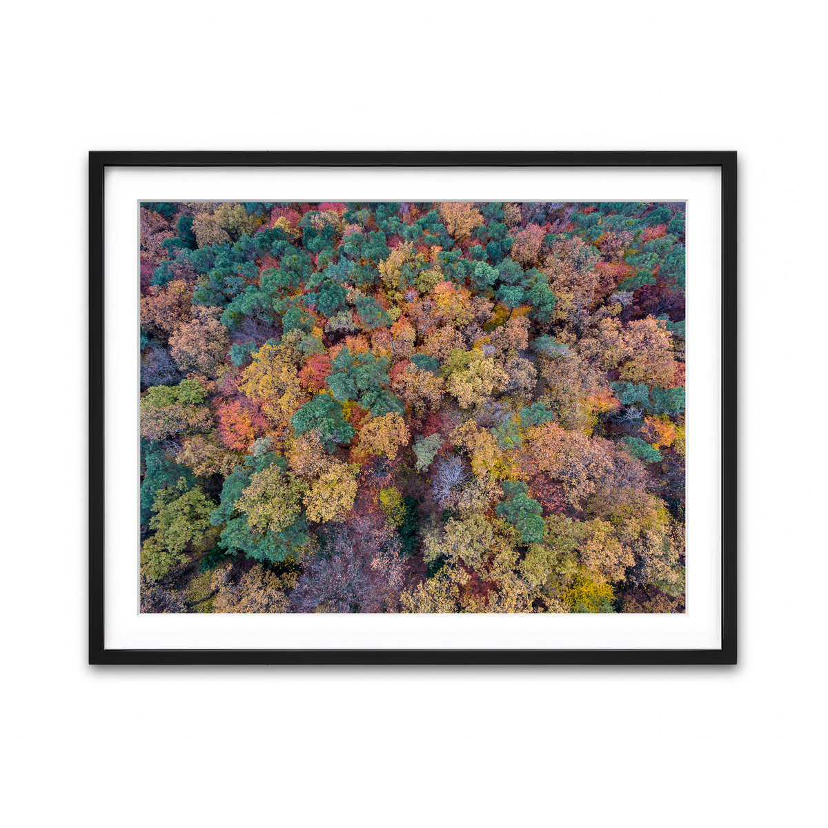 Framed Print 4x3 Black