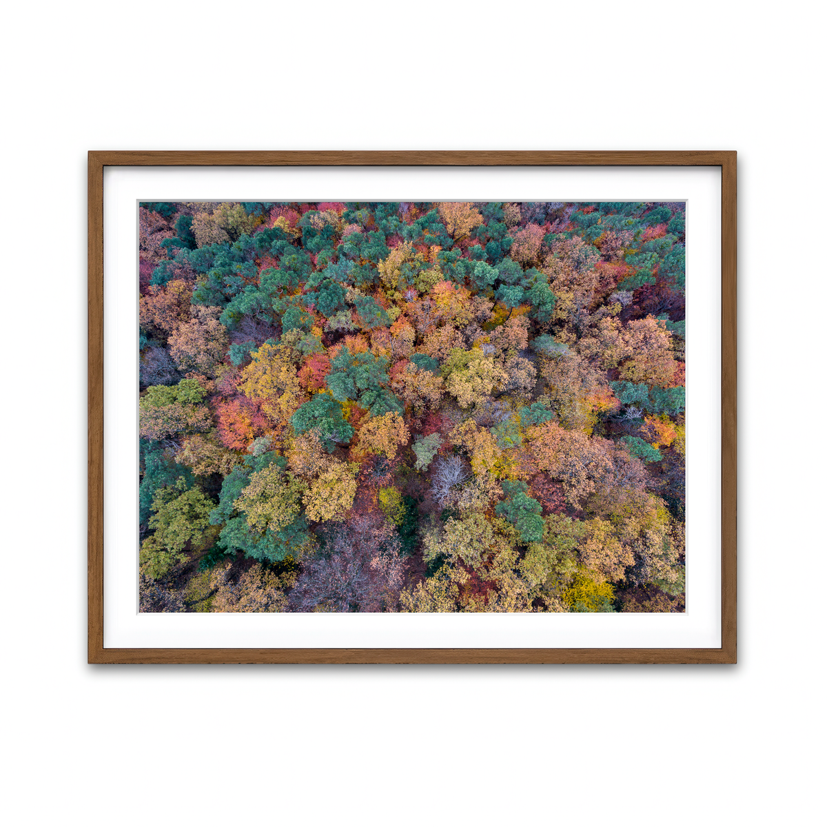 Framed Print 4x3 Walnut