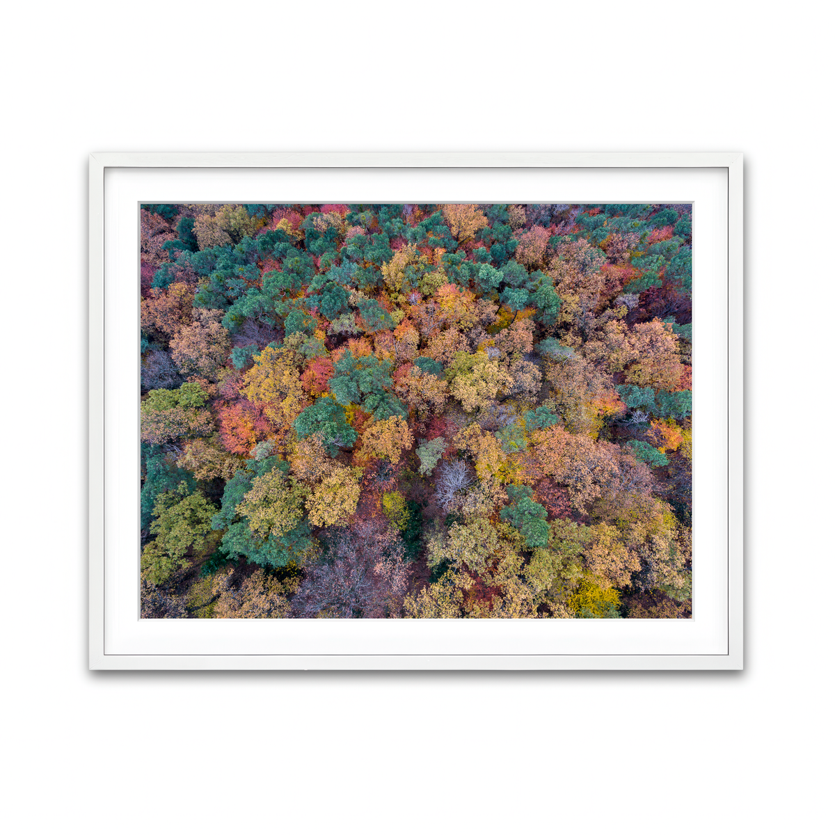 Framed Print 4x3 White