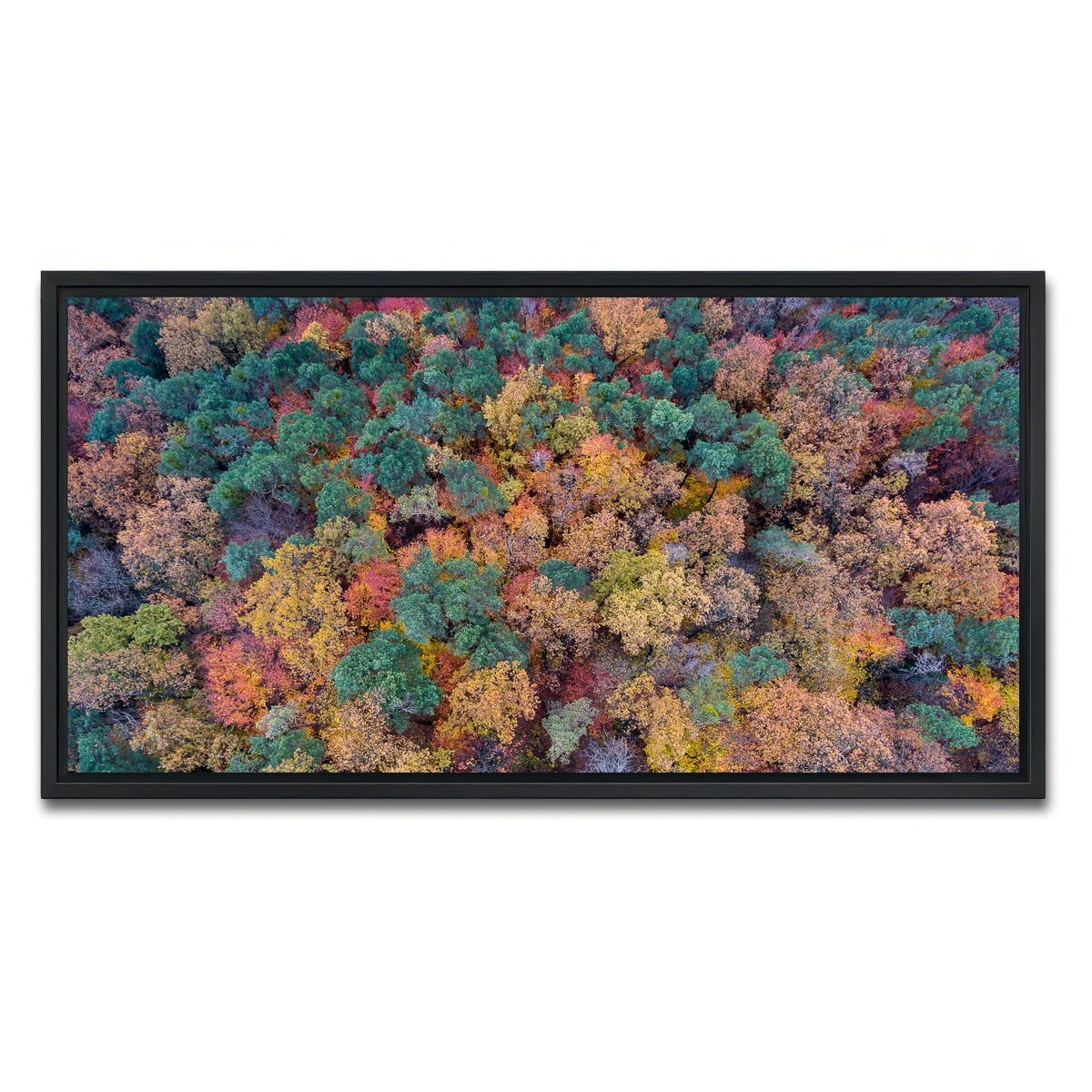 AUTO-MOCKUP WHITE | Aerial Fall | 1 Piece | Black Framed Canvas | group=2x1