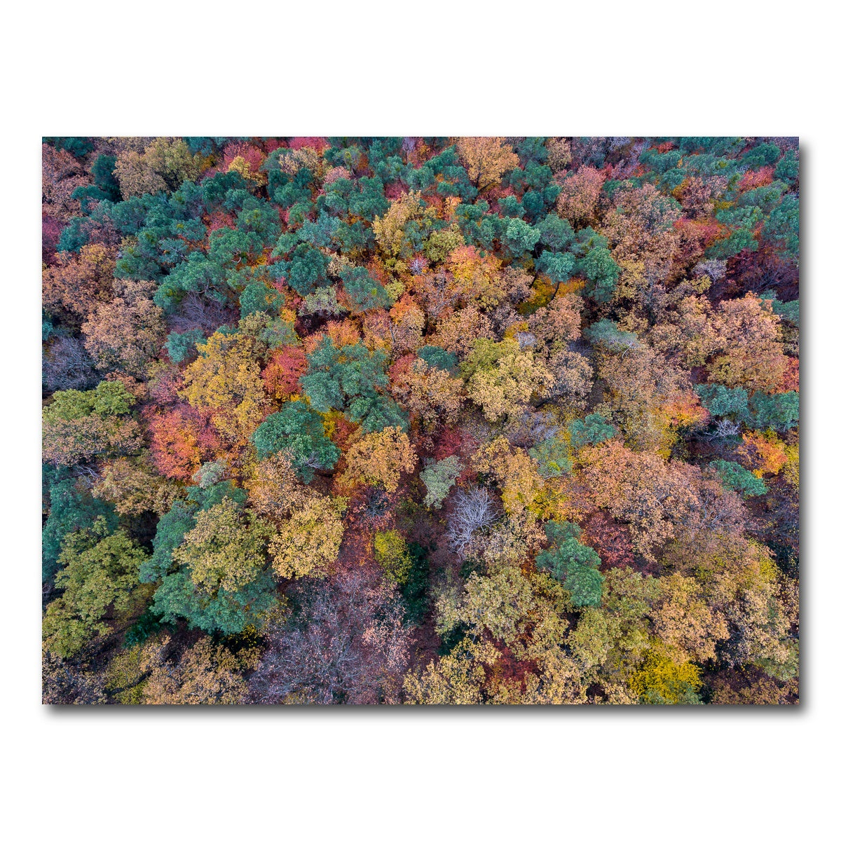 AUTO-MOCKUP WHITE | Aerial Fall | 1 Piece | Gallery Wrap Canvas | group=4x3