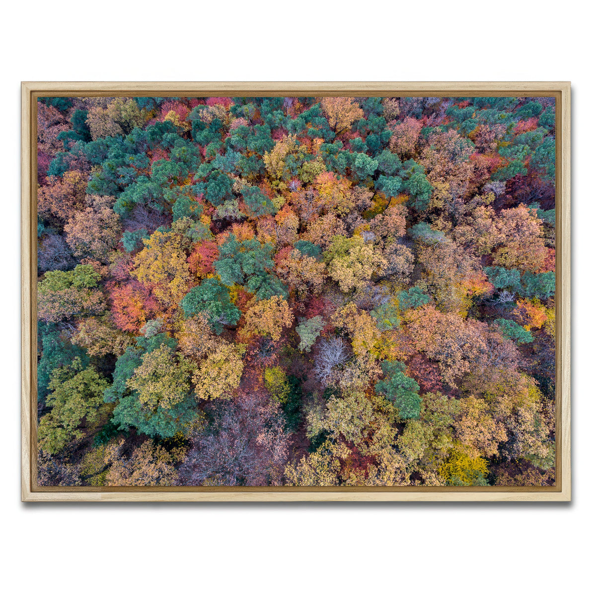 AUTO-MOCKUP WHITE | Aerial Fall | 1 Piece | Natural Framed Canvas | group=4x3