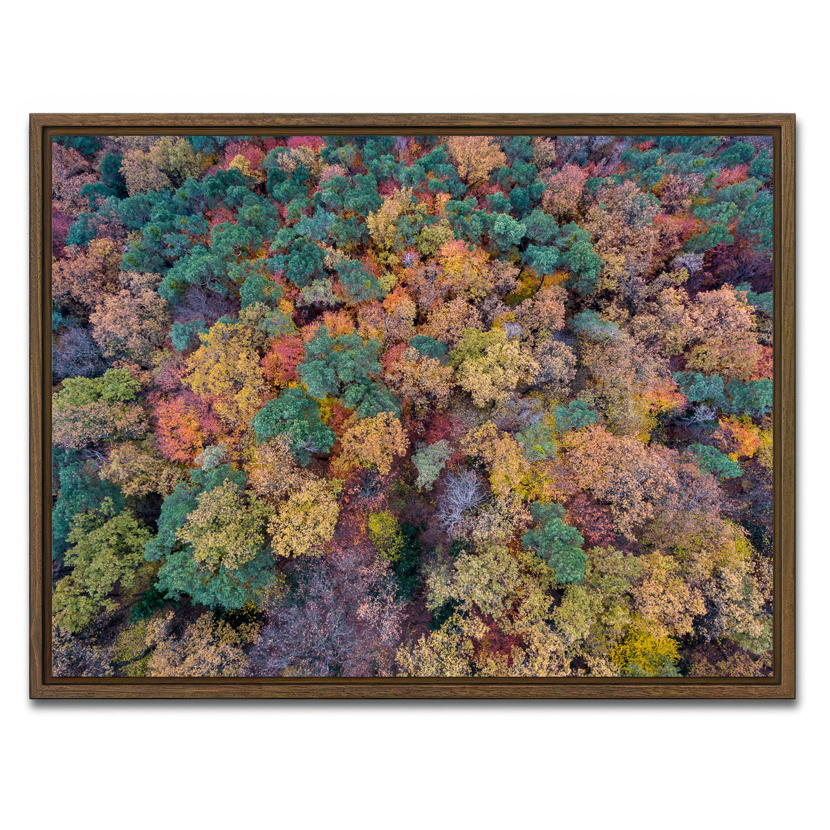 AUTO-MOCKUP WHITE | Aerial Fall | 1 Piece | Walnut Framed Canvas | group=4x3