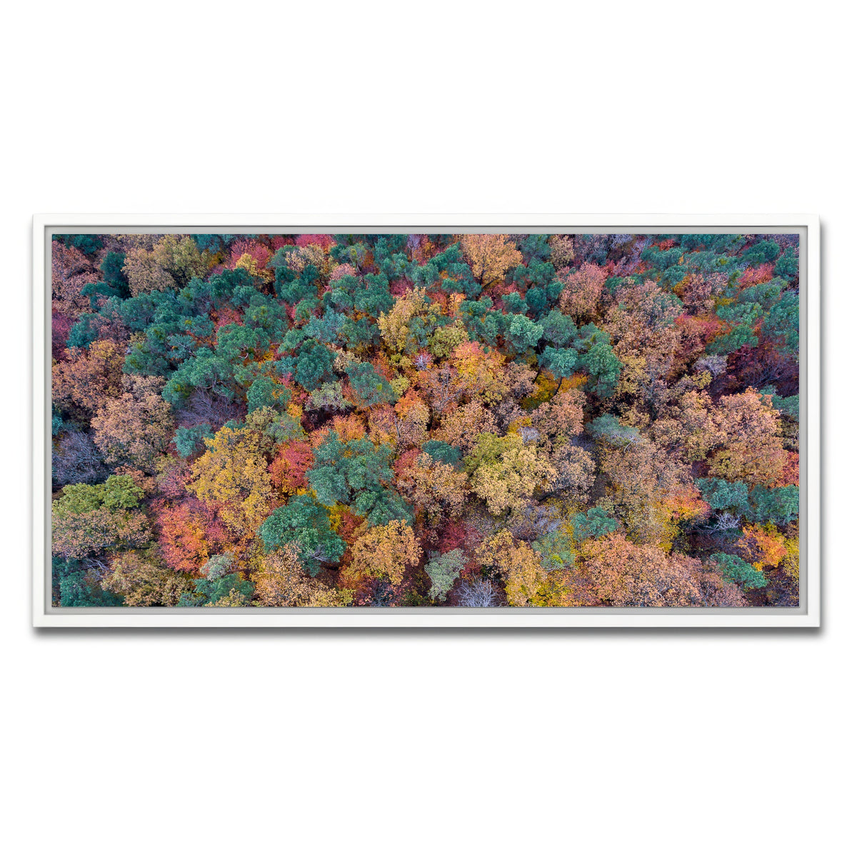 AUTO-MOCKUP WHITE | Aerial Fall | 1 Piece | White Framed Canvas | group=2x1