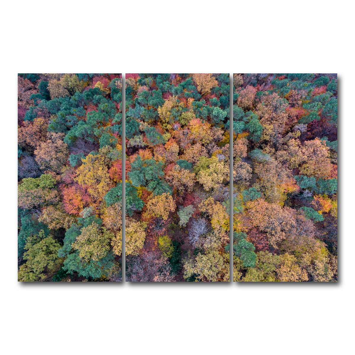 AUTO-MOCKUP WHITE | Aerial Fall | 3 Piece | Gallery Wrap Canvas | group=12x24
