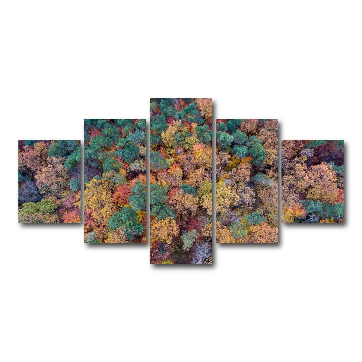 AUTO-MOCKUP WHITE | Aerial Fall | 5 Piece | Gallery Wrap Canvas | group=5_short