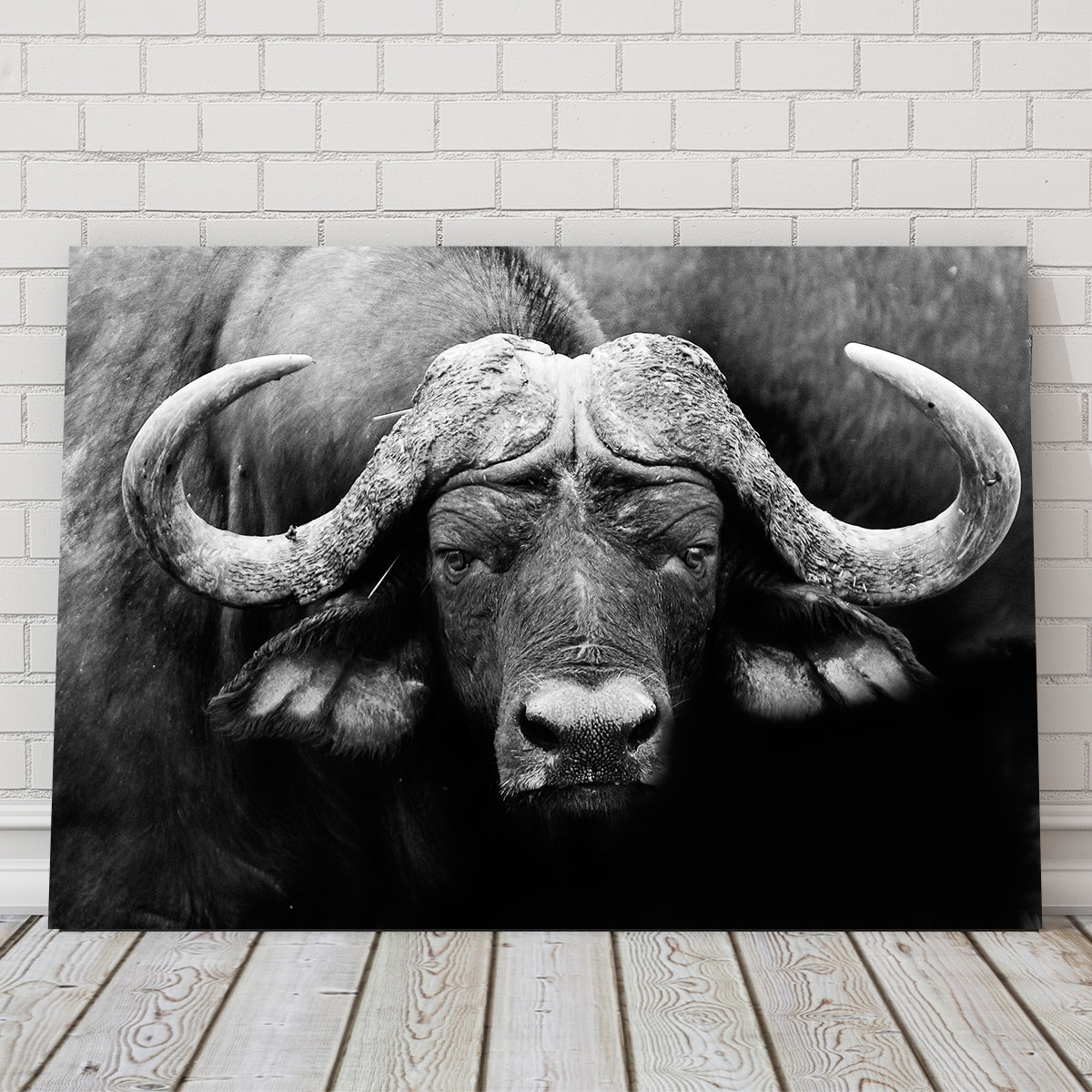 African Cape Buffalo Wall Art