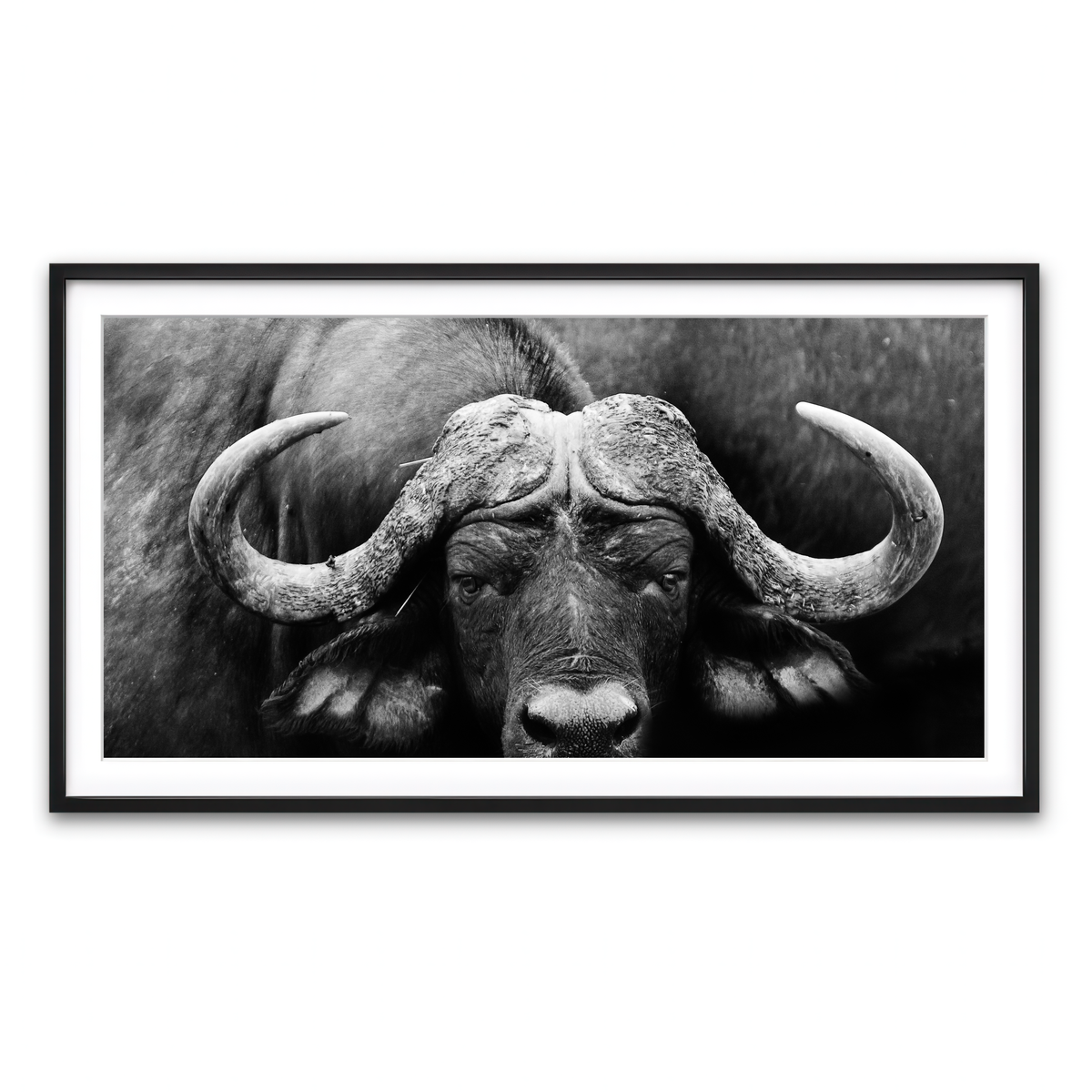 Framed Print 2x1 Black