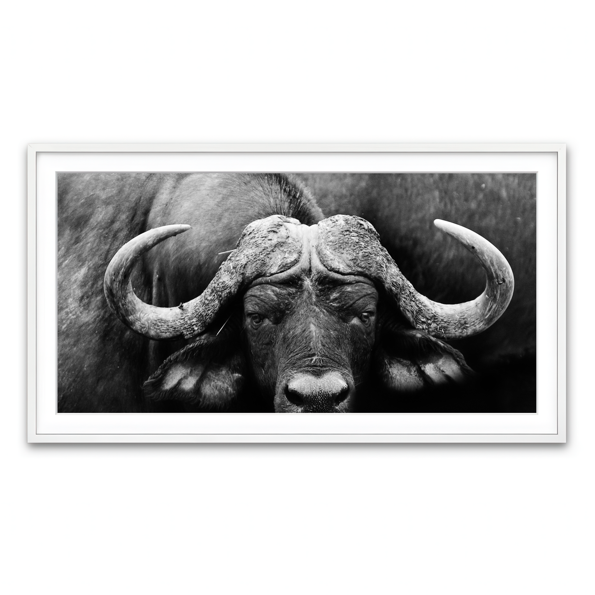 Framed Print 2x1 White