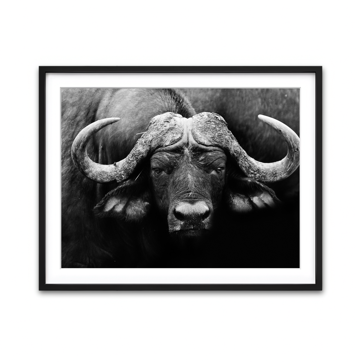 Framed Print 4x3 Black