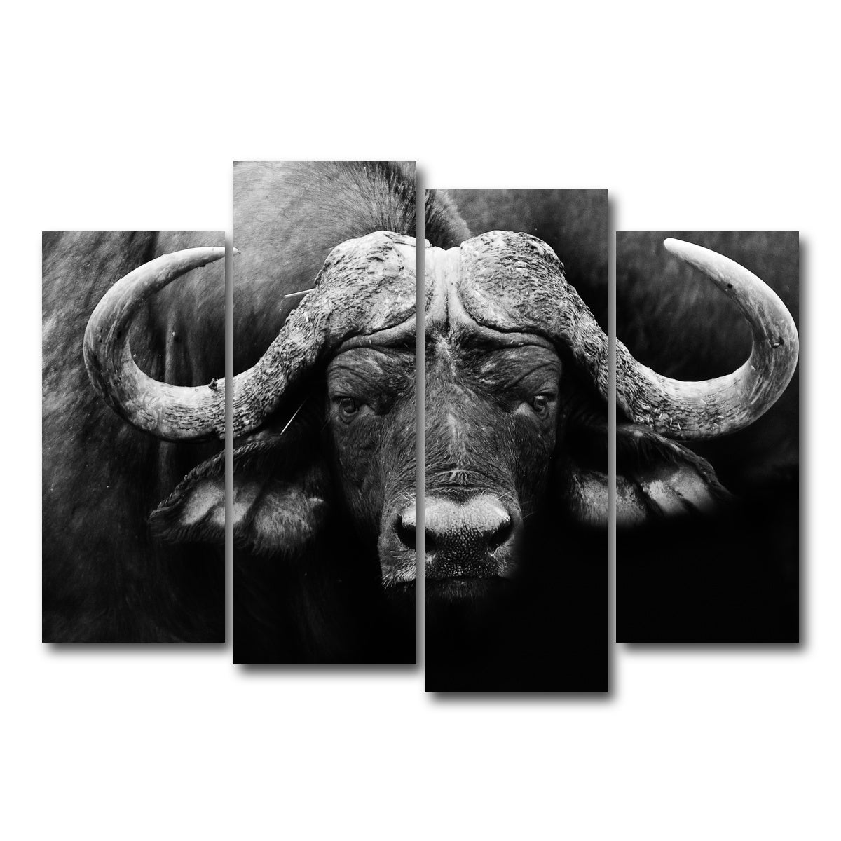 AUTO-MOCKUP WHITE | African Cape Buffalo | 4 Piece | Gallery Wrap Canvas | group=4_normal