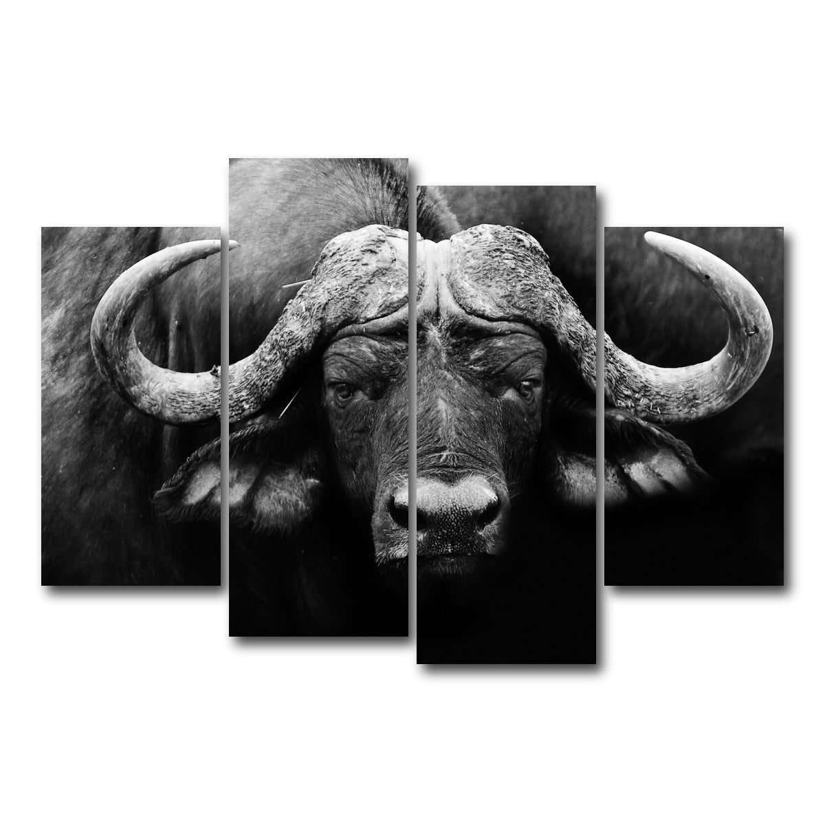 AUTO-MOCKUP WHITE | African Cape Buffalo | 4 Piece | Gallery Wrap Canvas | group=4_short