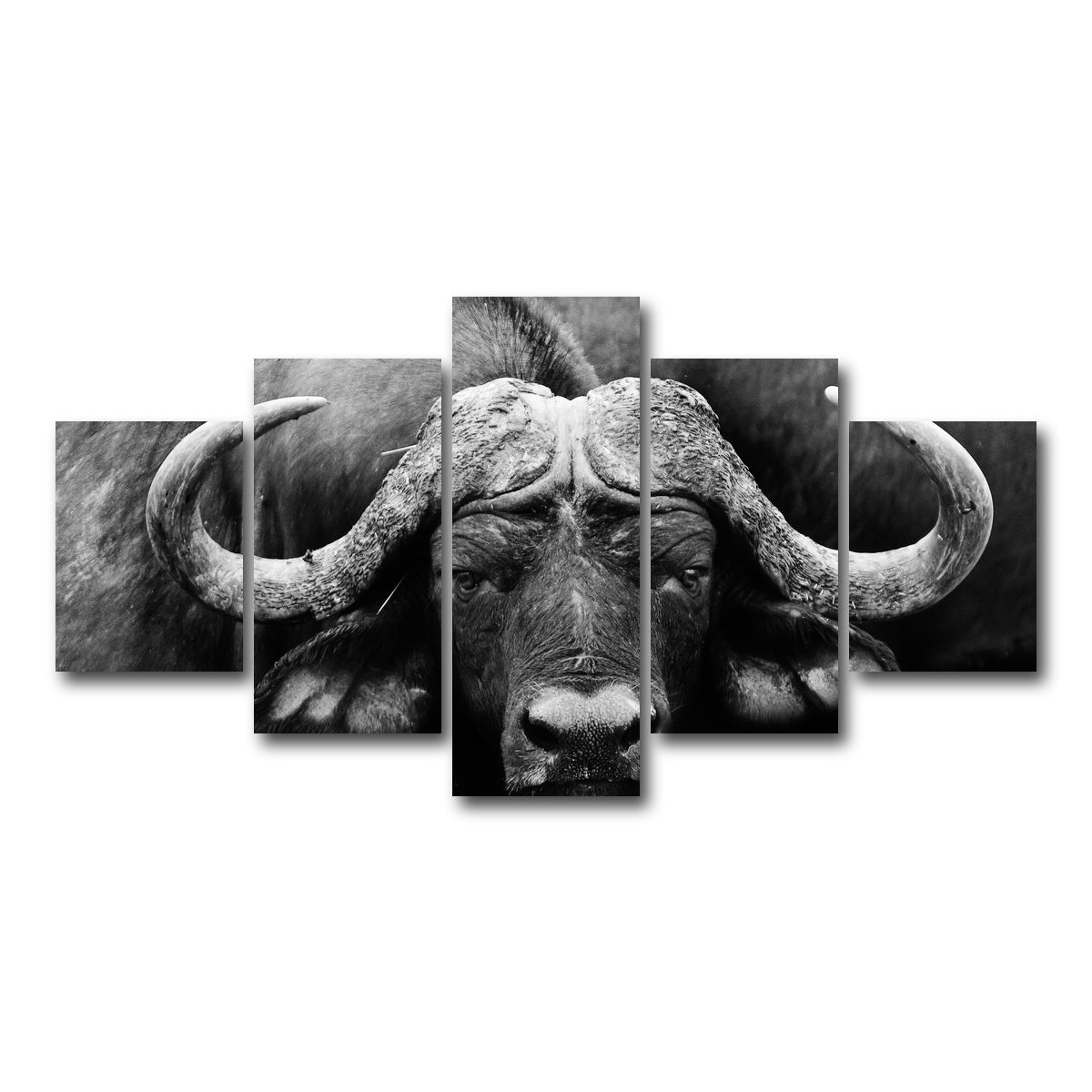 AUTO-MOCKUP WHITE | African Cape Buffalo | 5 Piece | Gallery Wrap Canvas | group=5_short