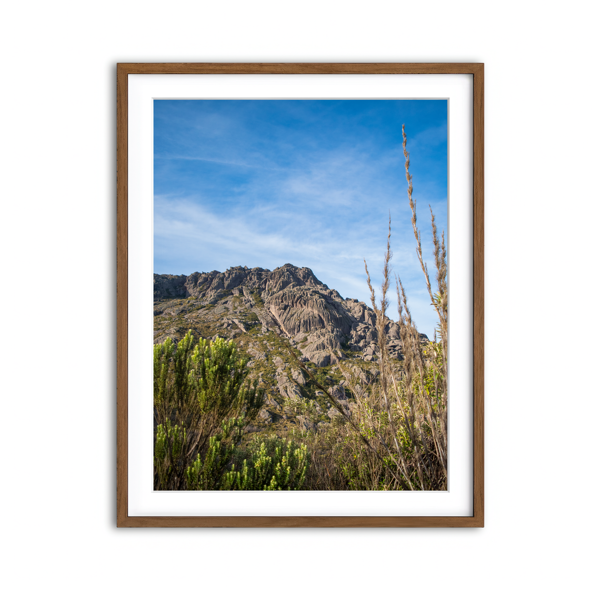 Framed Print 3x4 Walnut