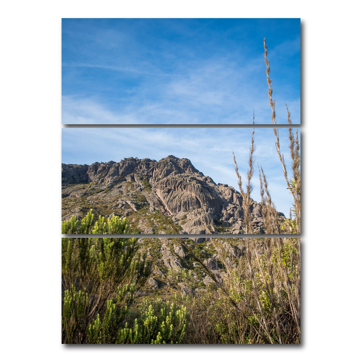 AUTO-MOCKUP WHITE | Agulhas Negras Peak from Itatiaia National Park | 3 Piece | Gallery Wrap Canvas | group=8x18_stacked