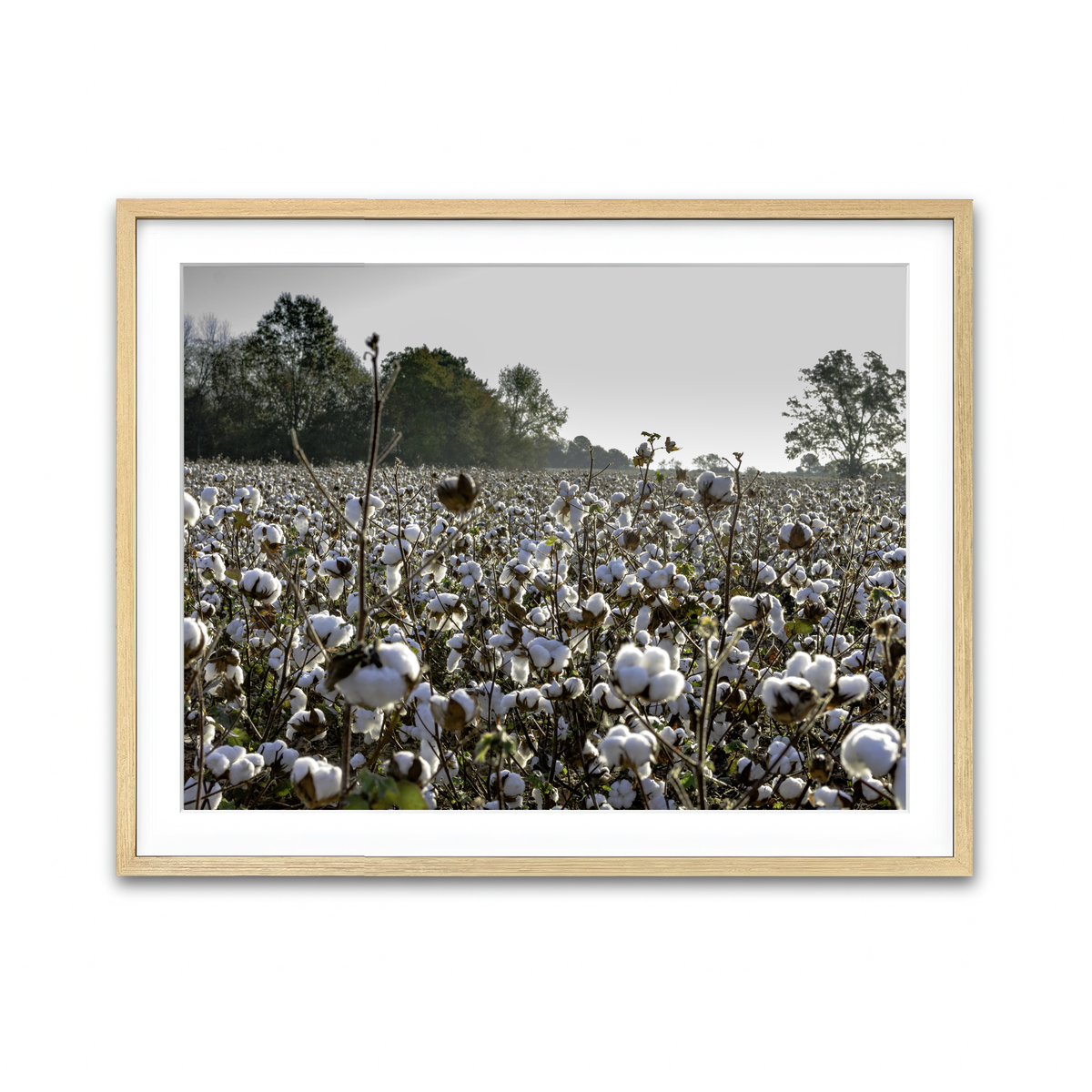 Framed Print 4x3 Natural