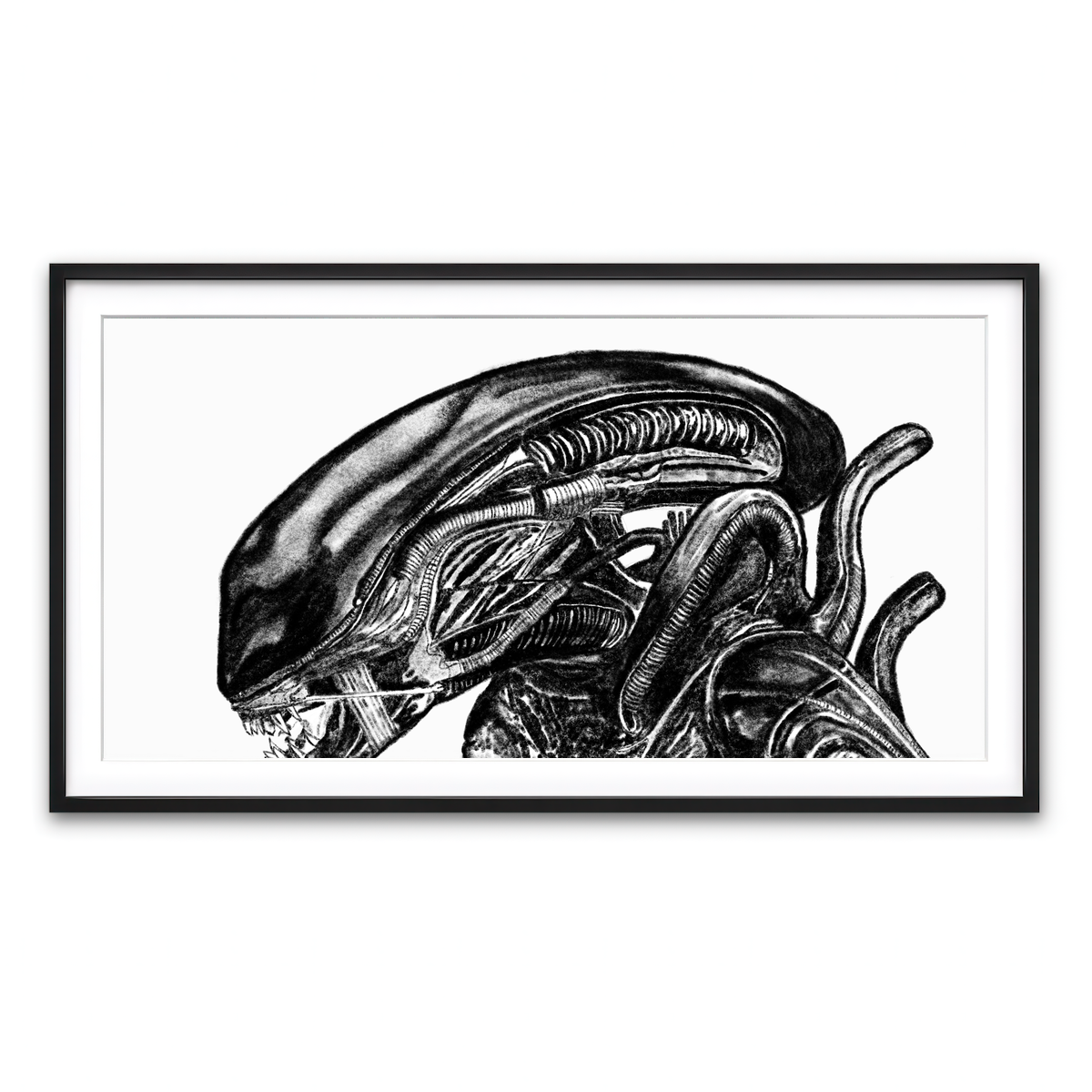 Framed Print 2x1 Black