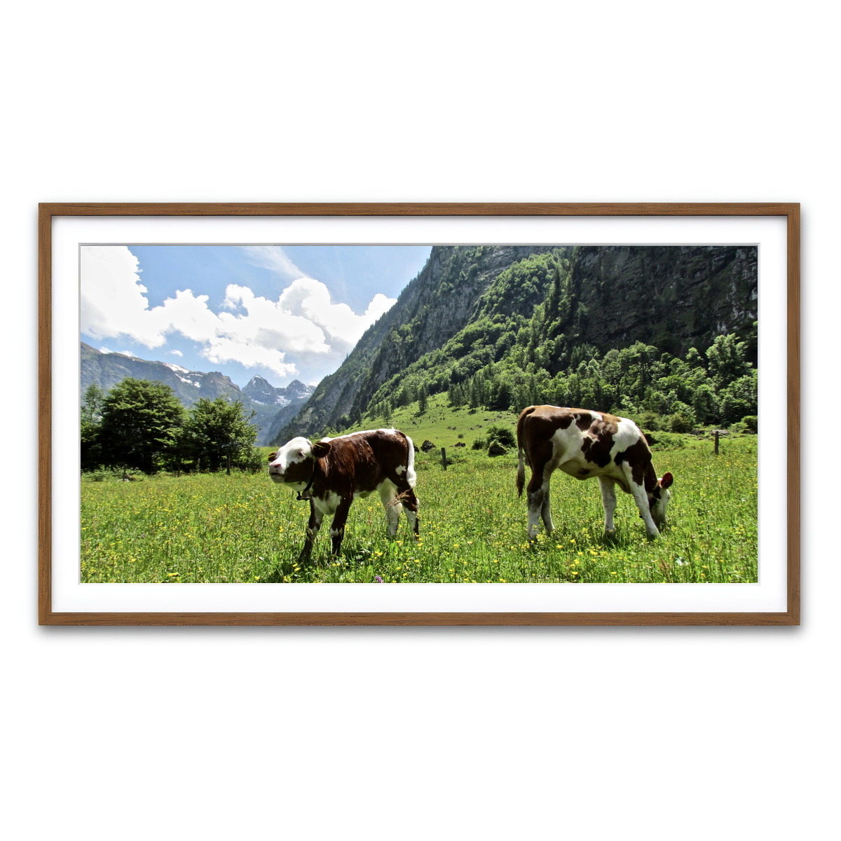 Framed Print 2x1 Walnut