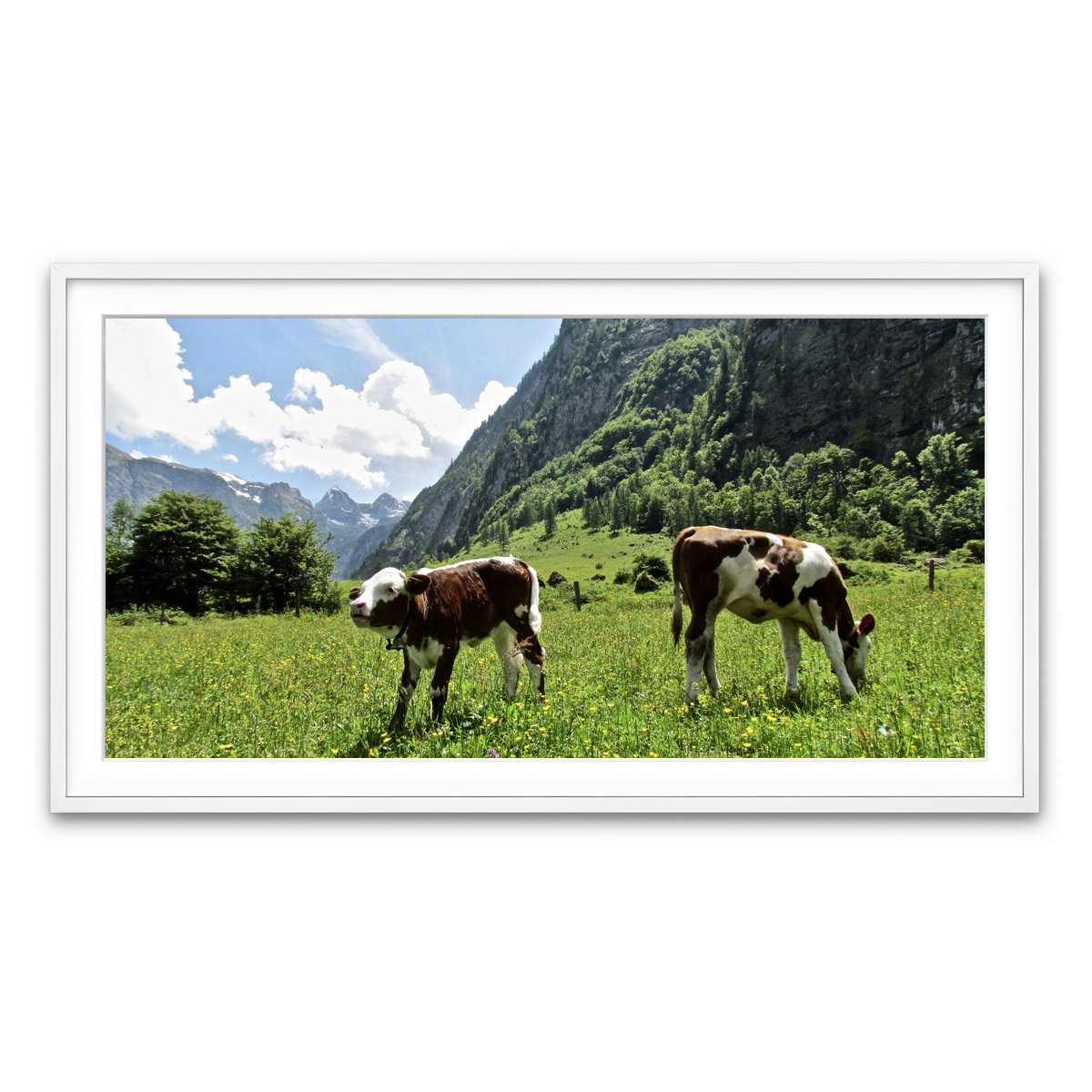 Framed Print 2x1 White