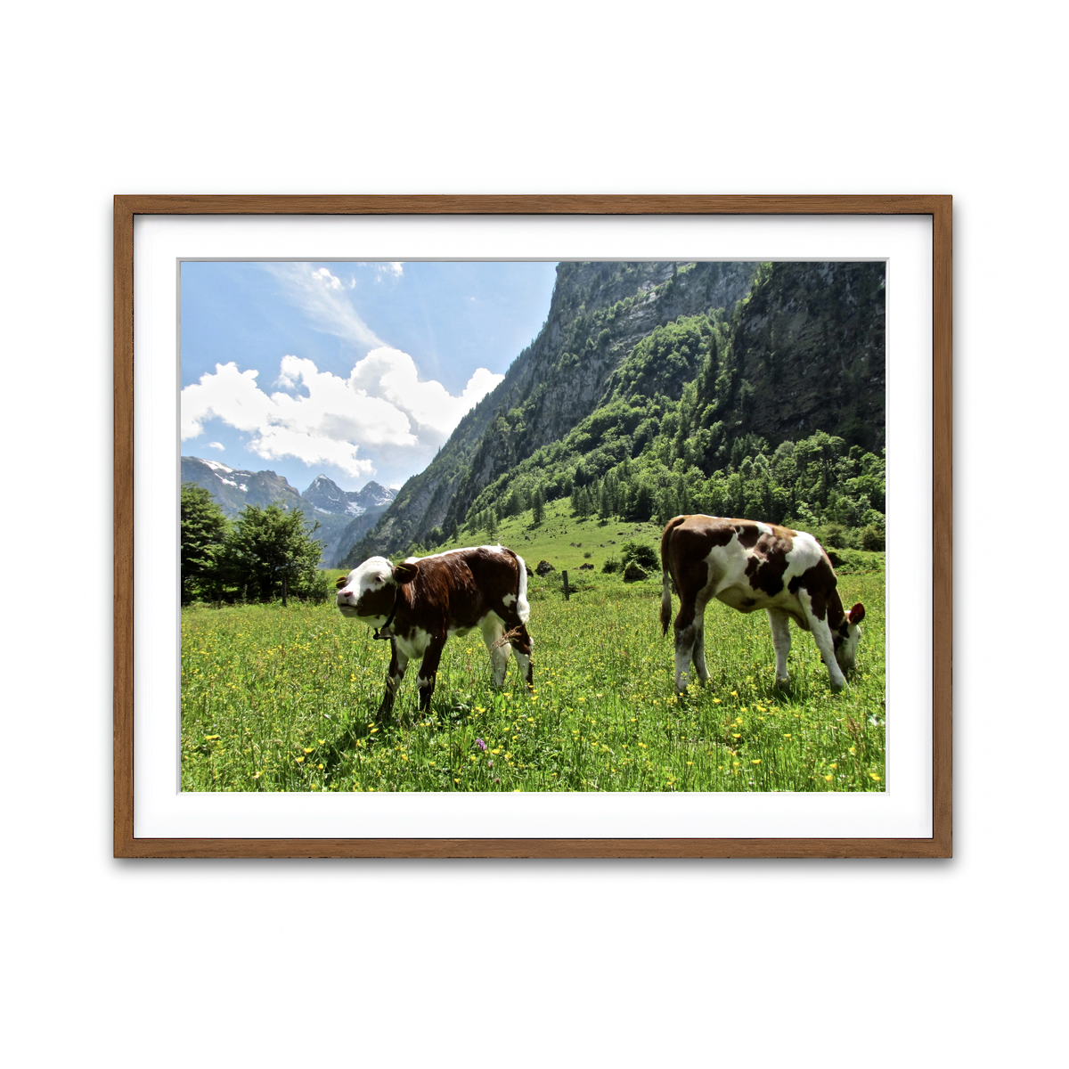 Framed Print 4x3 Walnut