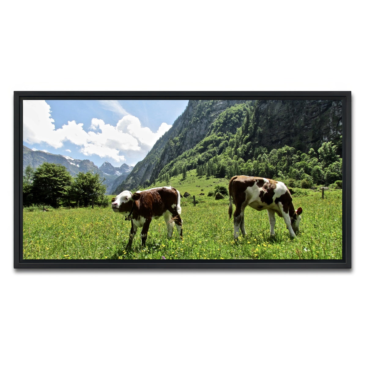 AUTO-MOCKUP WHITE | Alpine Calf | 1 Piece | Black Framed Canvas | group=2x1