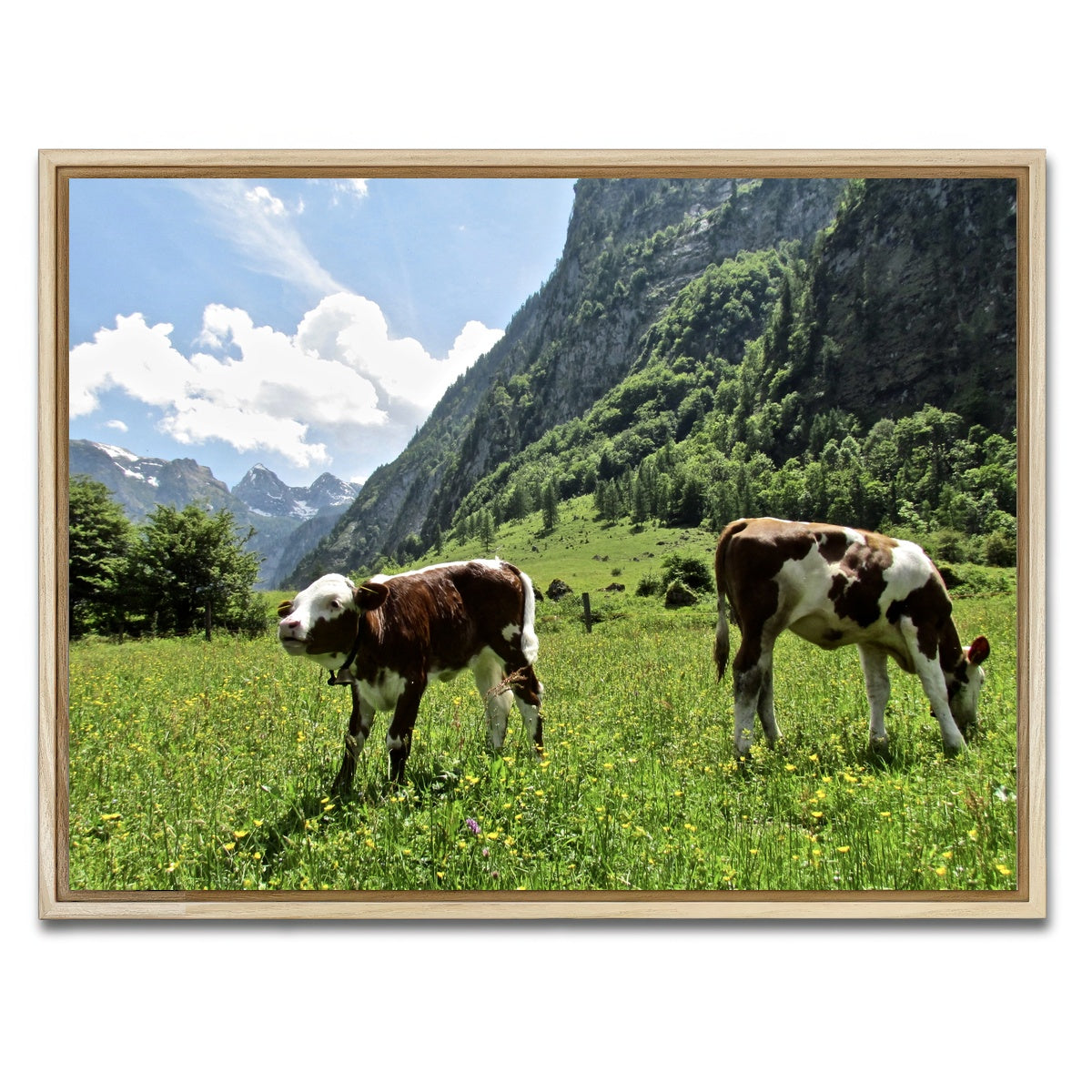 AUTO-MOCKUP WHITE | Alpine Calf | 1 Piece | Natural Framed Canvas | group=4x3