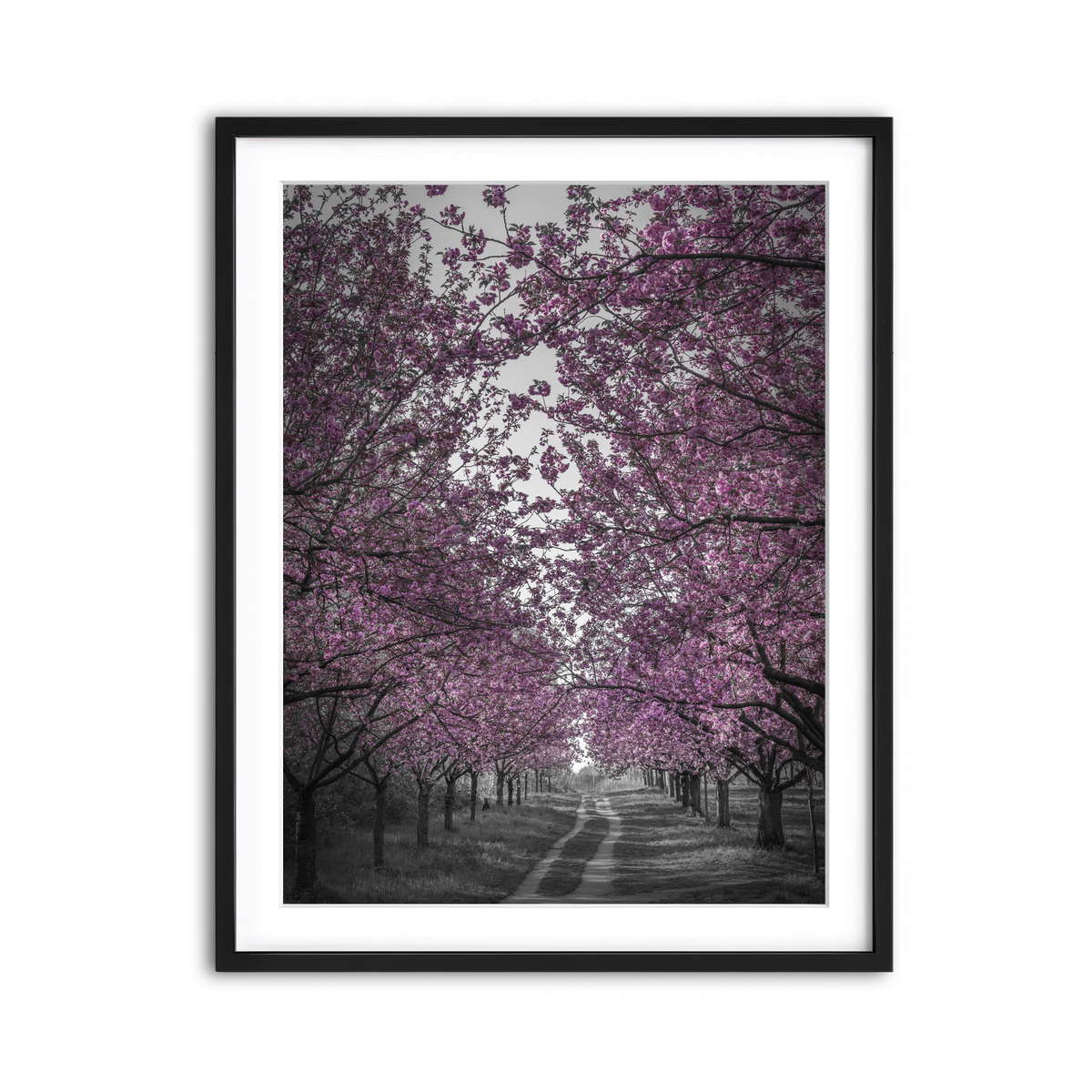 Framed Print 3x4 Black