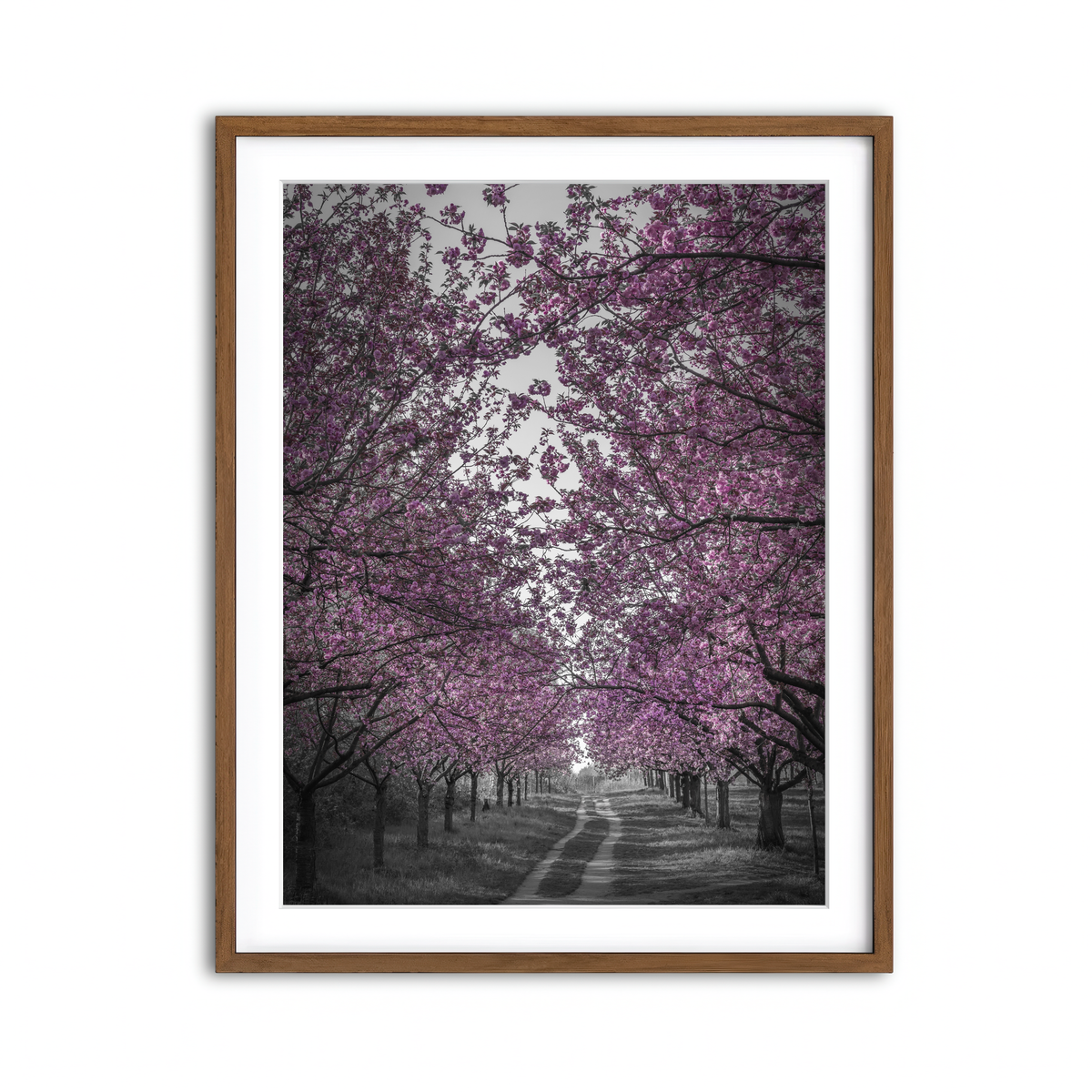 Framed Print 3x4 Walnut